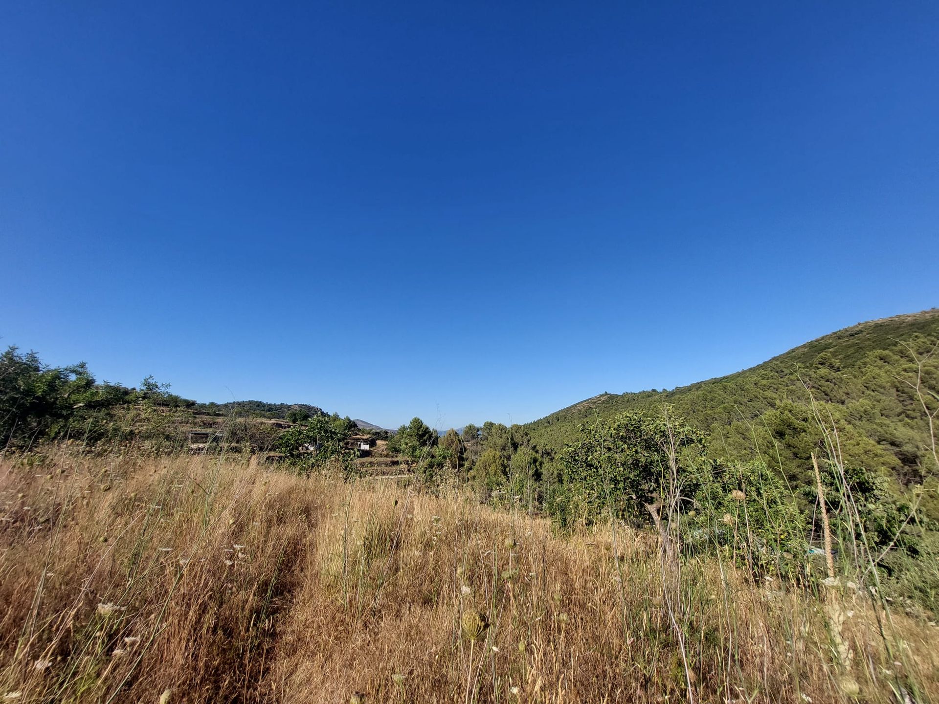 Tierra en Llíber, Comunidad Valenciana 11343027