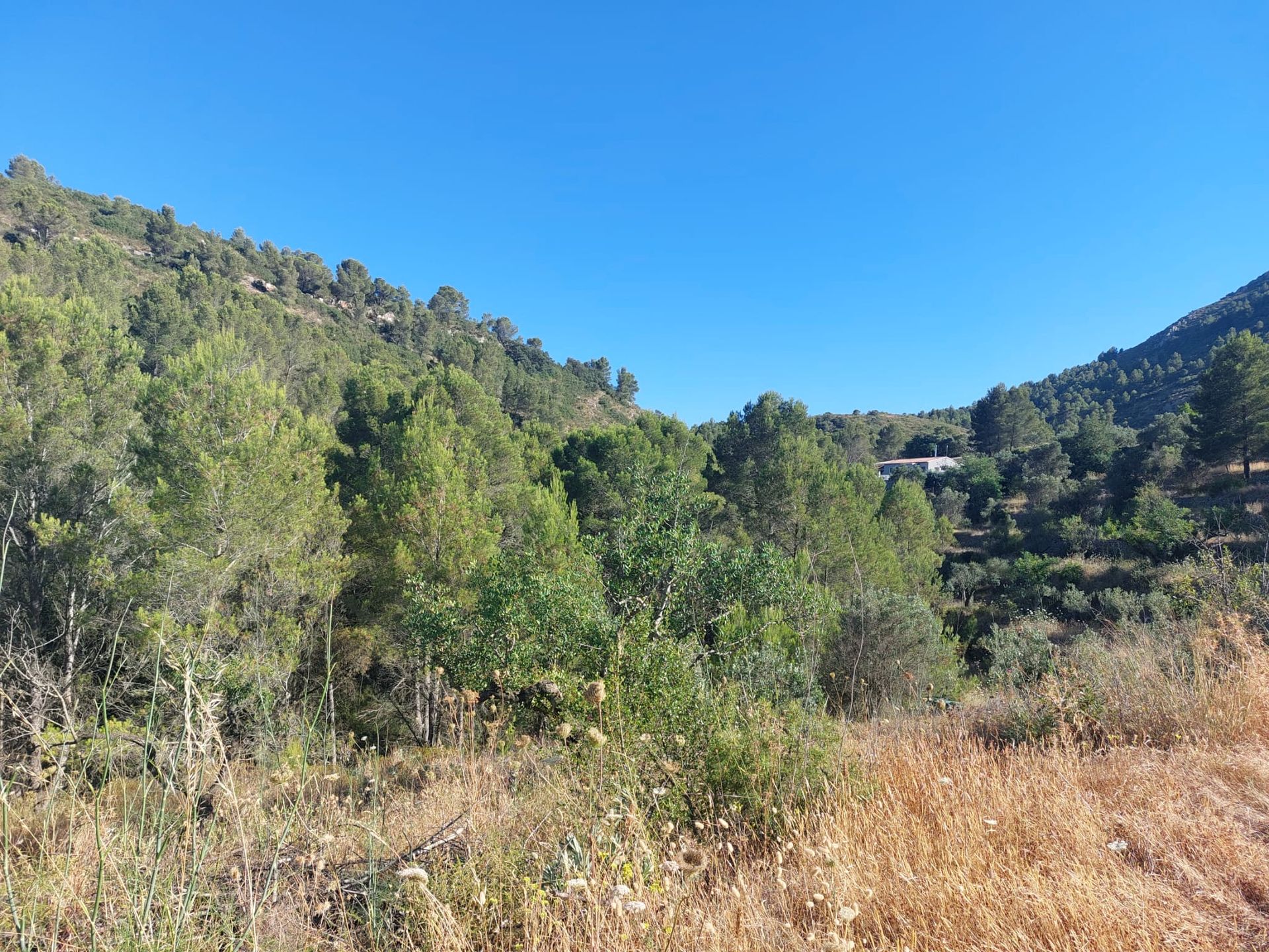 Tierra en Llíber, Comunidad Valenciana 11343027