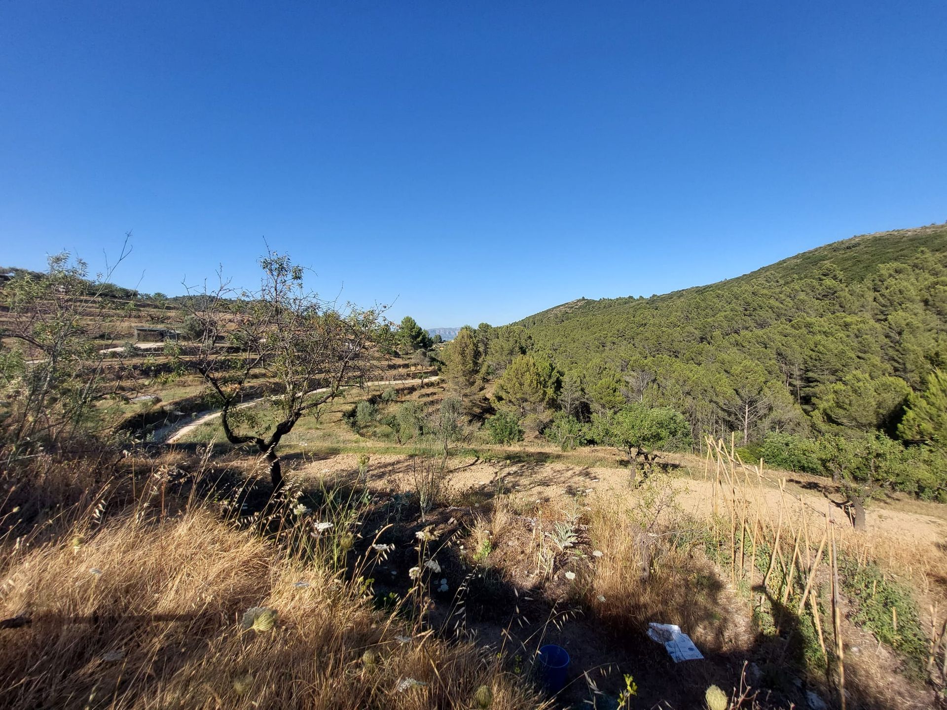 Tierra en Llíber, Comunidad Valenciana 11343027