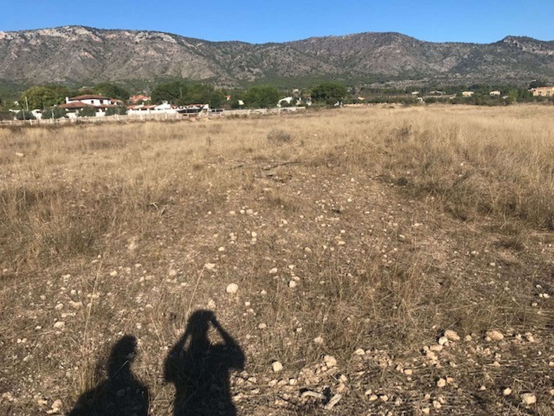 土地 在 Salinas, Valencian Community 11343043