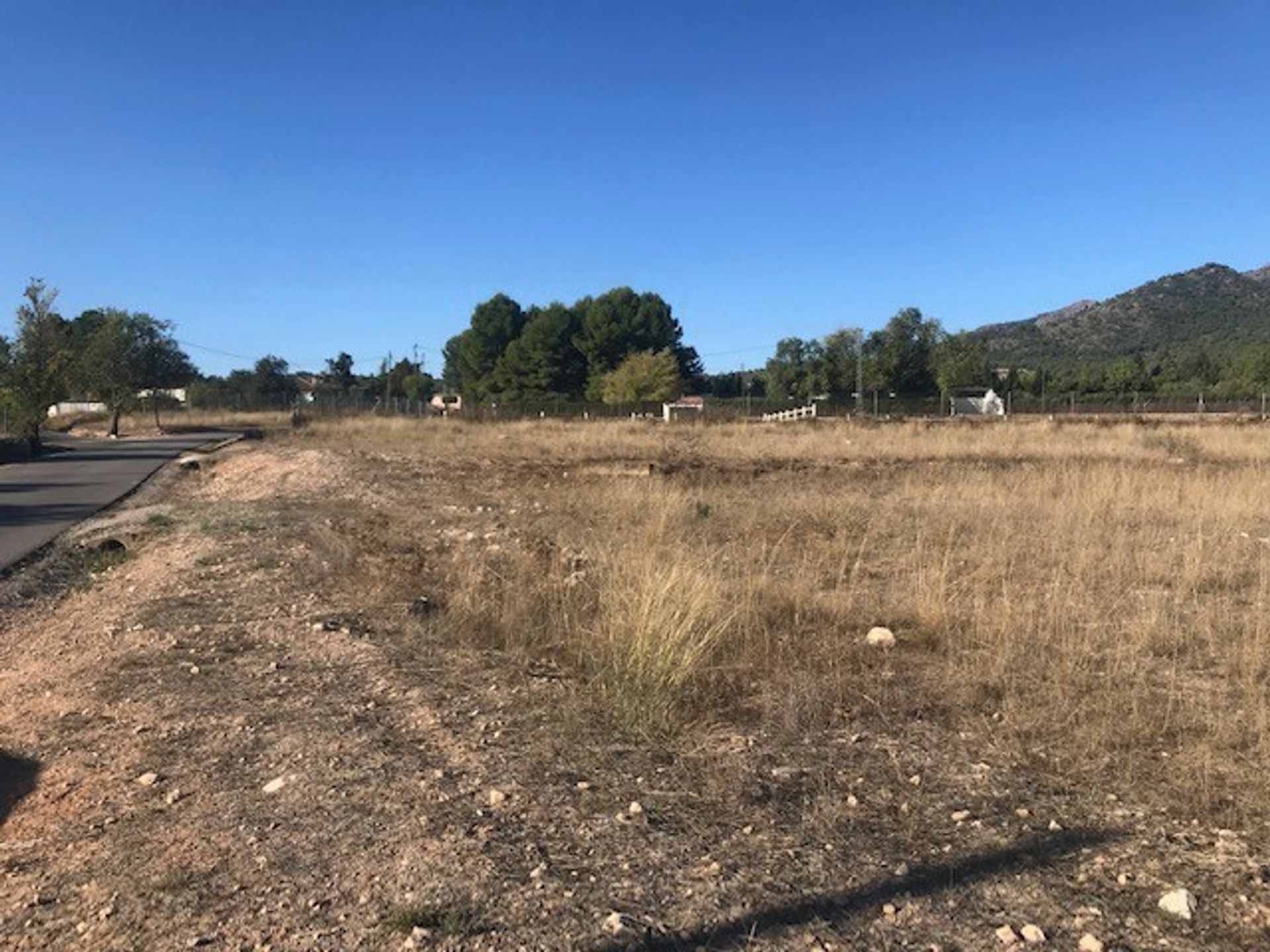 土地 在 Salinas, Valencian Community 11343043