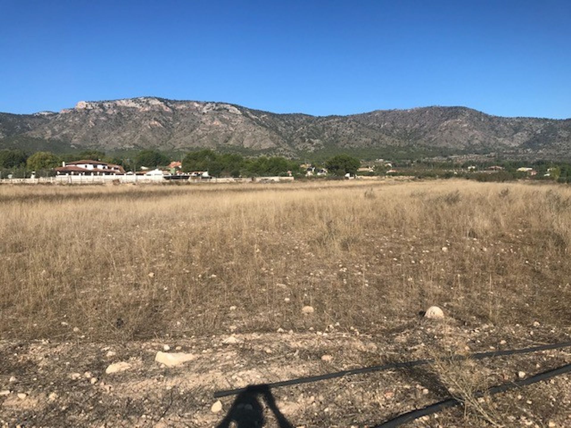 土地 在 Salinas, Valencian Community 11343043