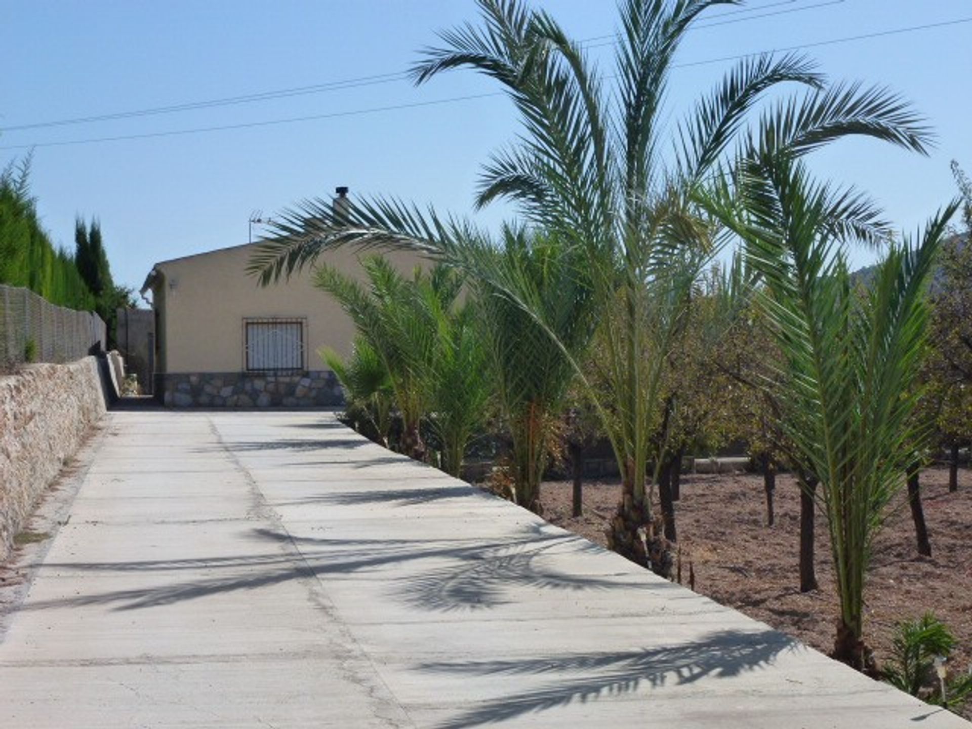 rumah dalam El Fondó de les Neus, Valencian Community 11343090