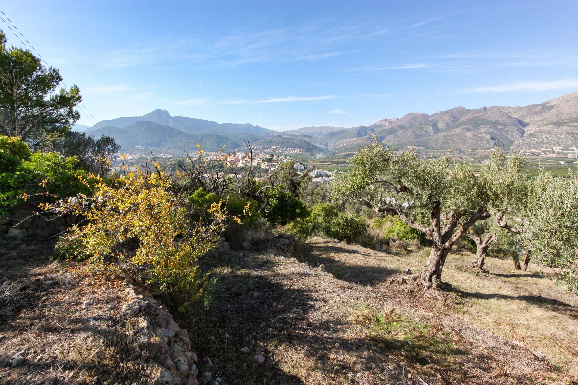 Tanah di Tormos, Valencia 11343101