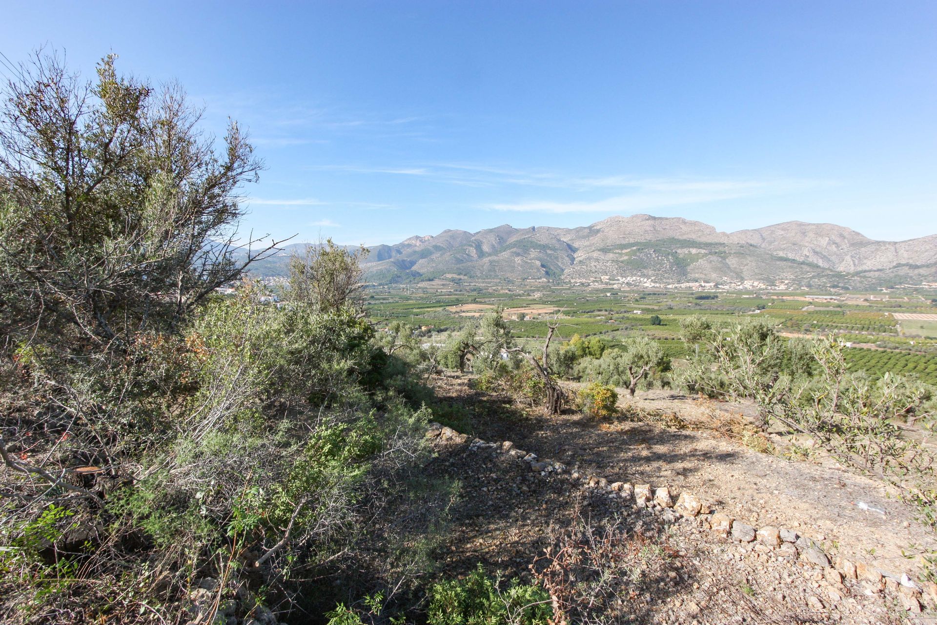 Land in Orba, Comunitat Valenciana 11343101