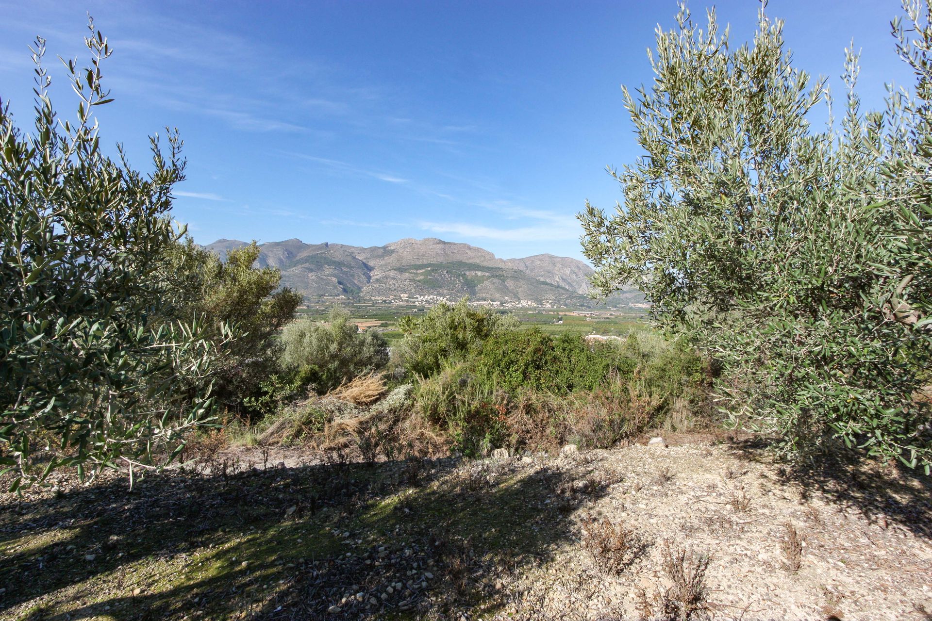 Land in Orba, Comunitat Valenciana 11343101