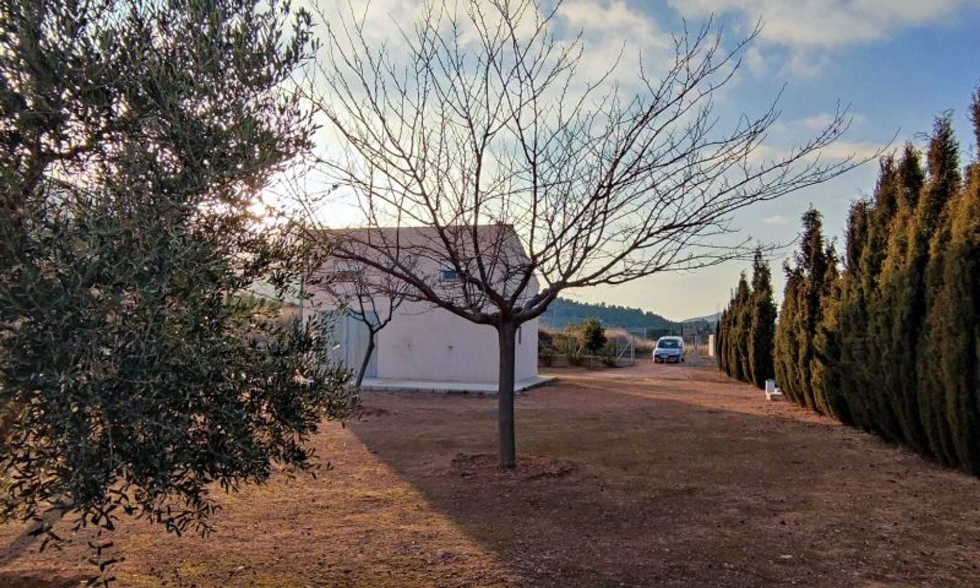 House in La Romana, Valencian Community 11343131