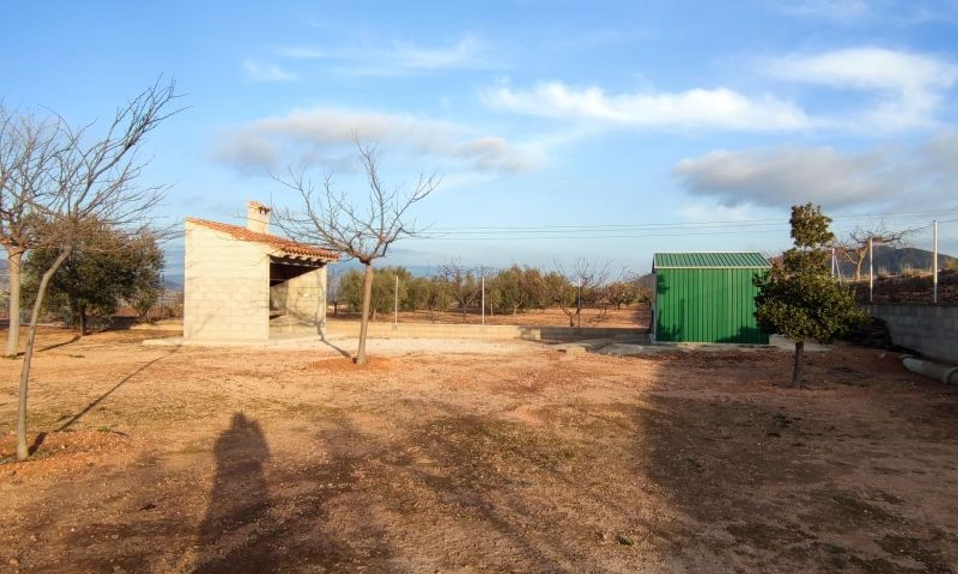 House in La Romana, Valencian Community 11343131