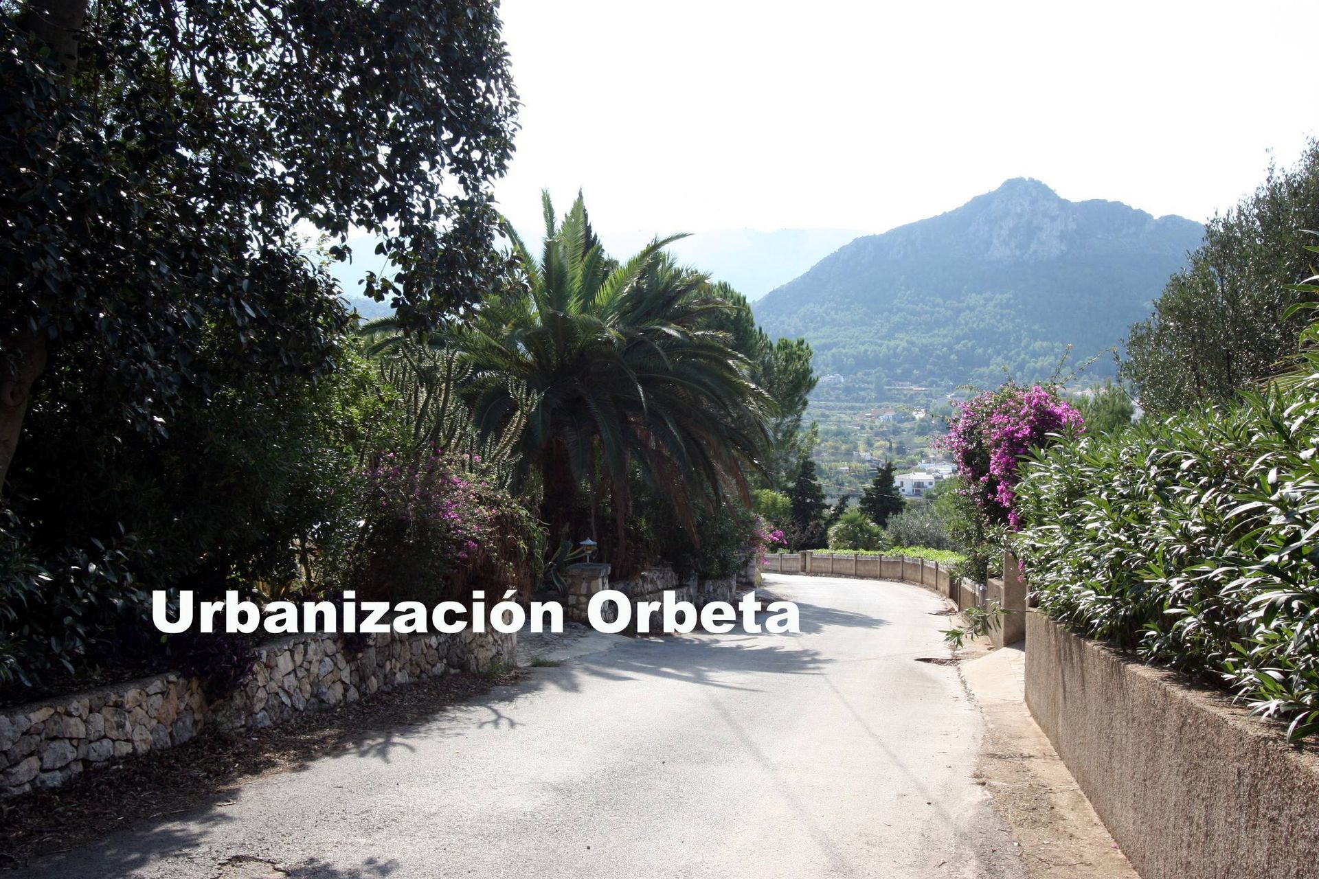 Land in Orba, Comunitat Valenciana 11343165