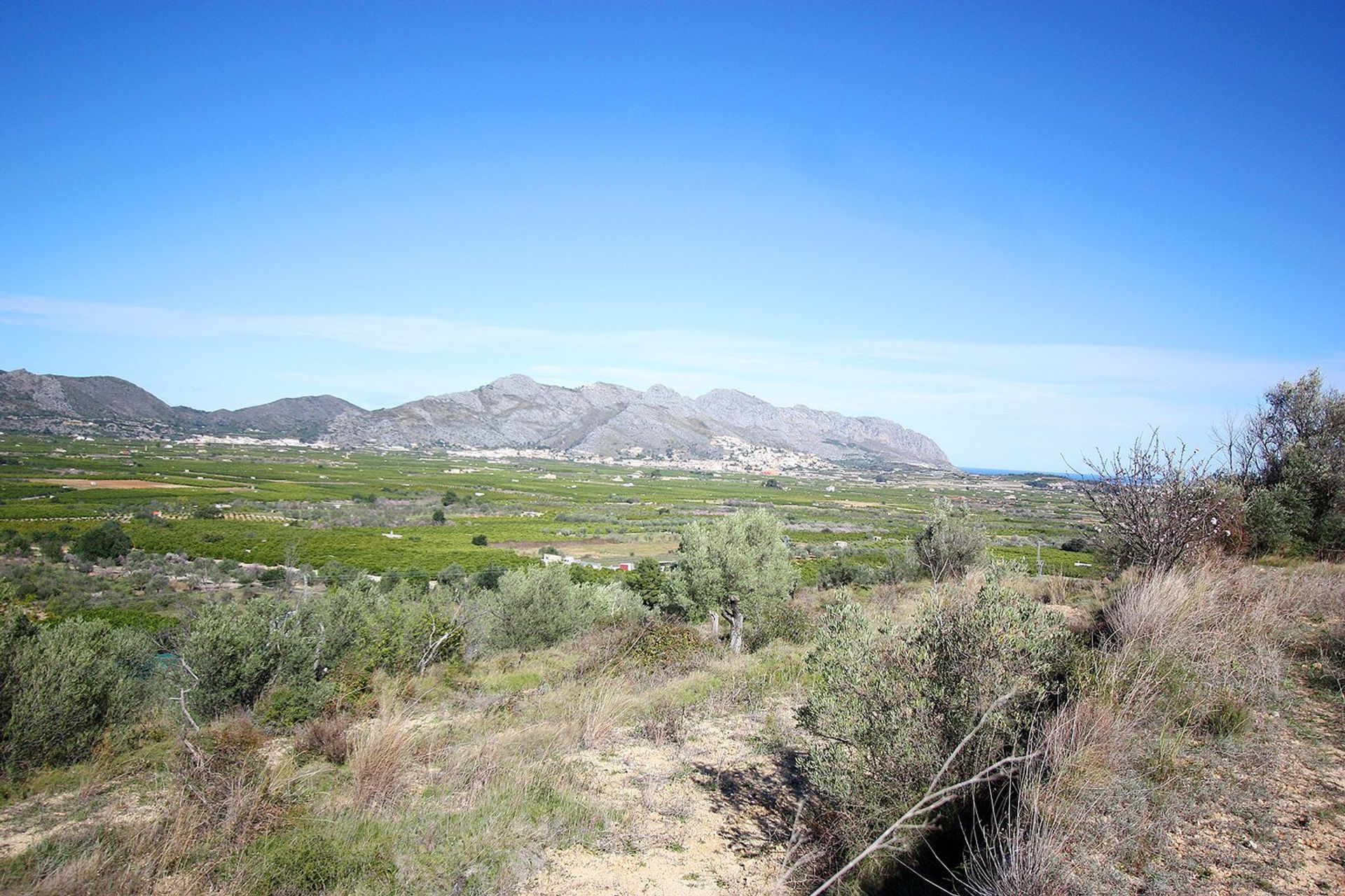 Land i Orba, Comunitat Valenciana 11343174