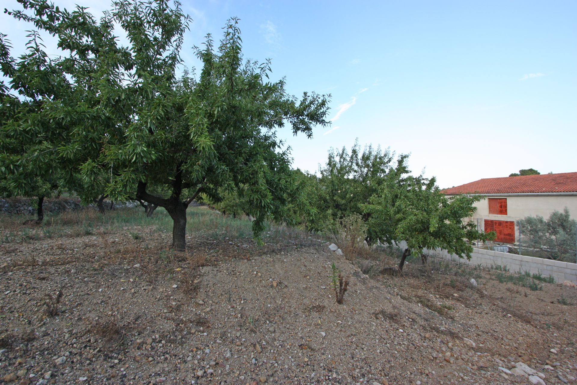 Talo sisään Alicante, Valencian Community 11343181