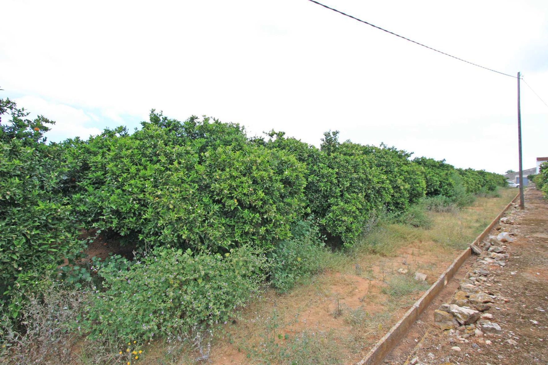 Land in Dénia, Valencian Community 11343184