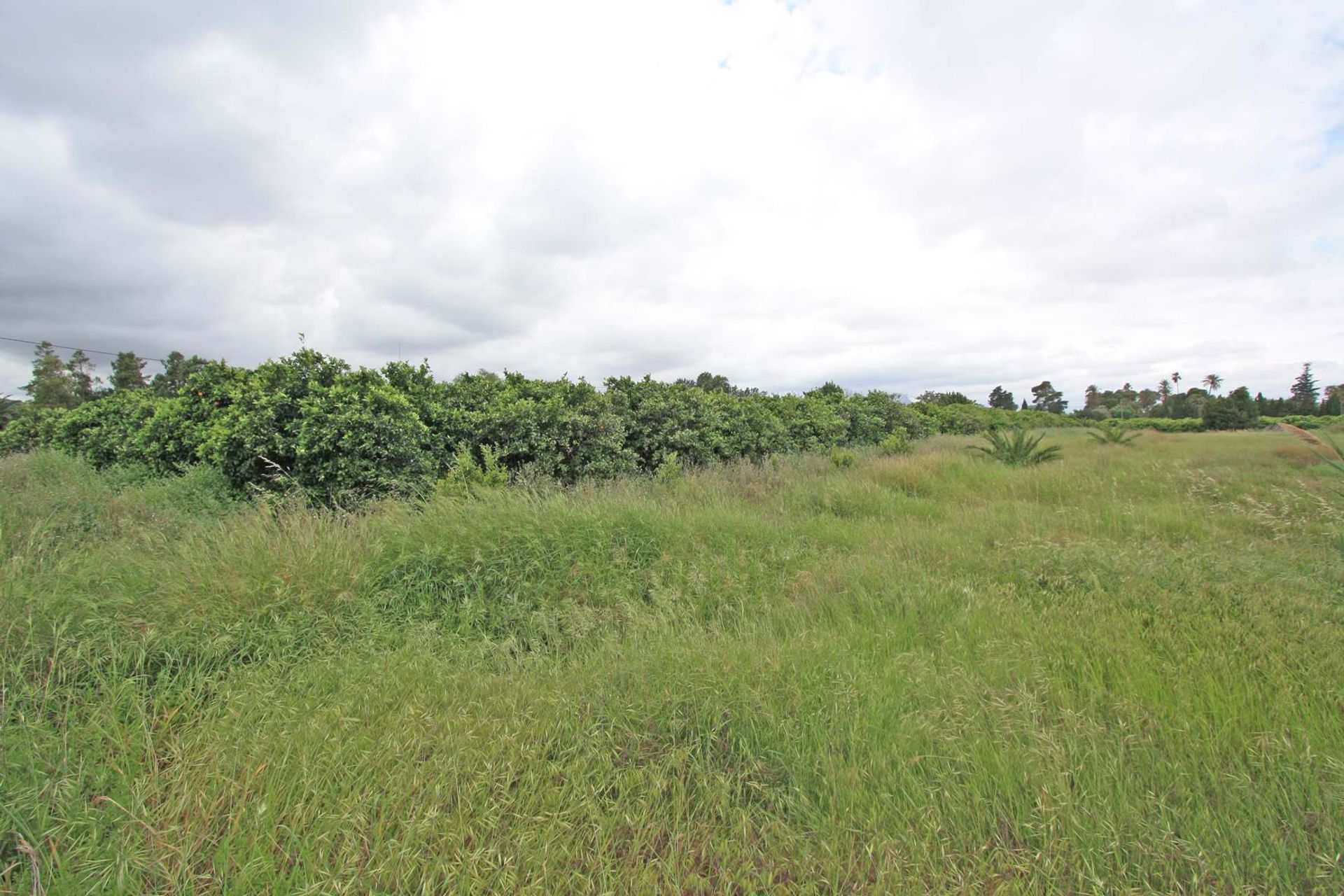 Land in Dénia, Valencian Community 11343184