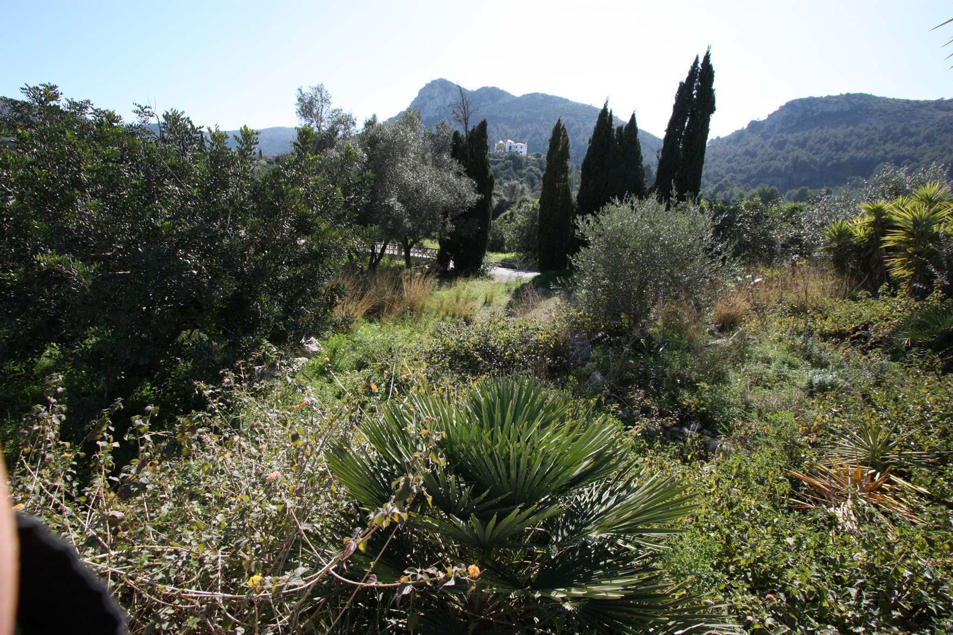 Terra no Orba, Comunitat Valenciana 11343208