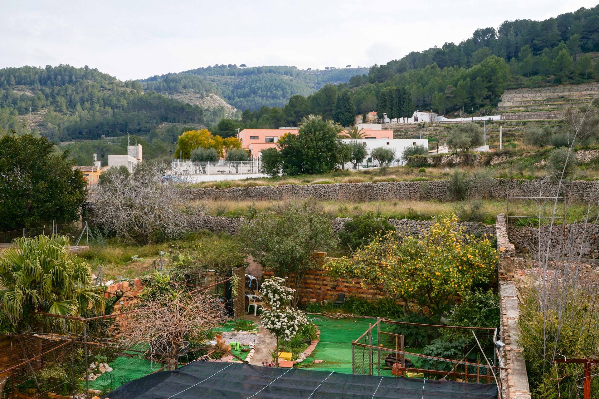 Hus i Alacant, Comunidad Valenciana 11343210