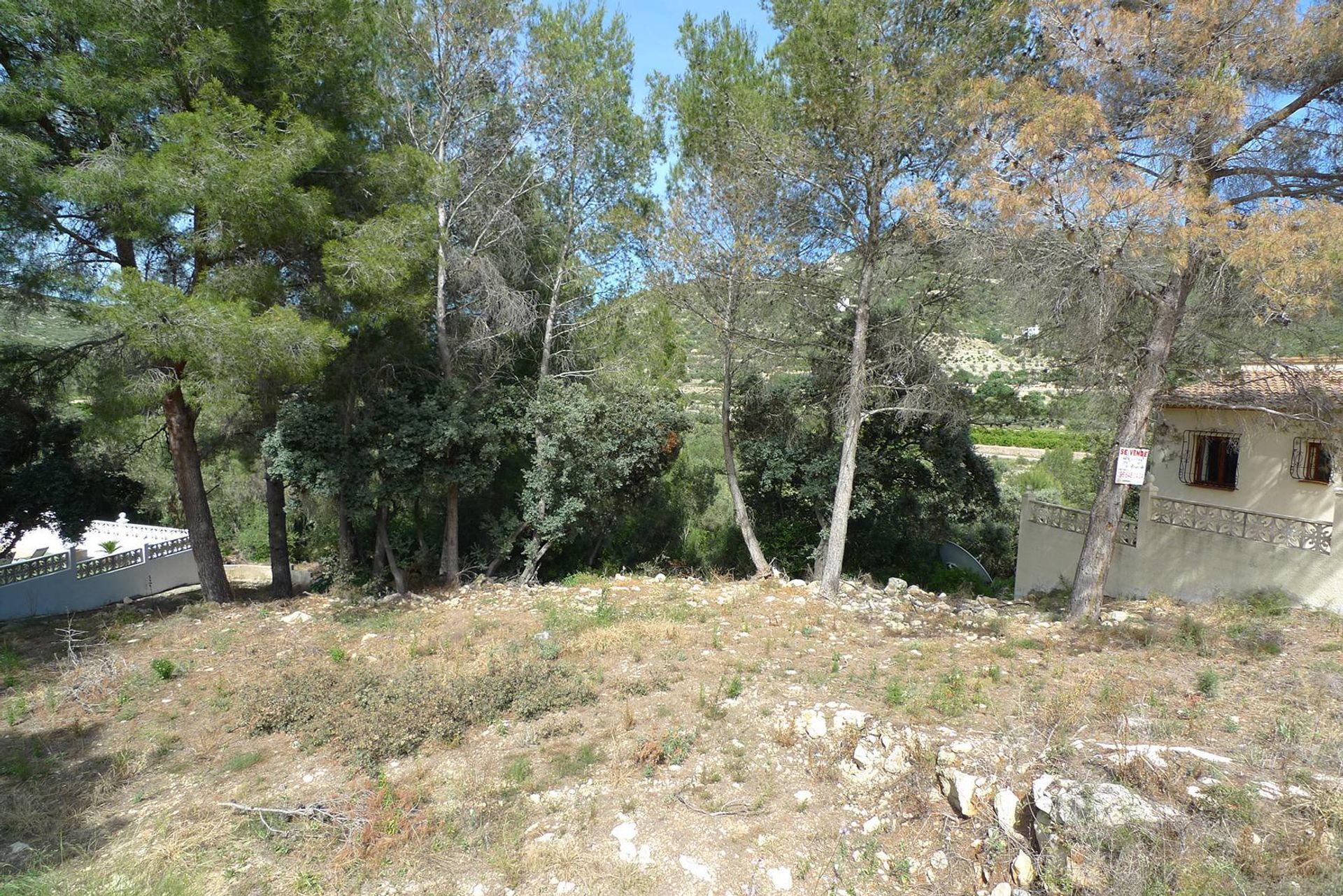 Land in Lliber, Valencia 11343224