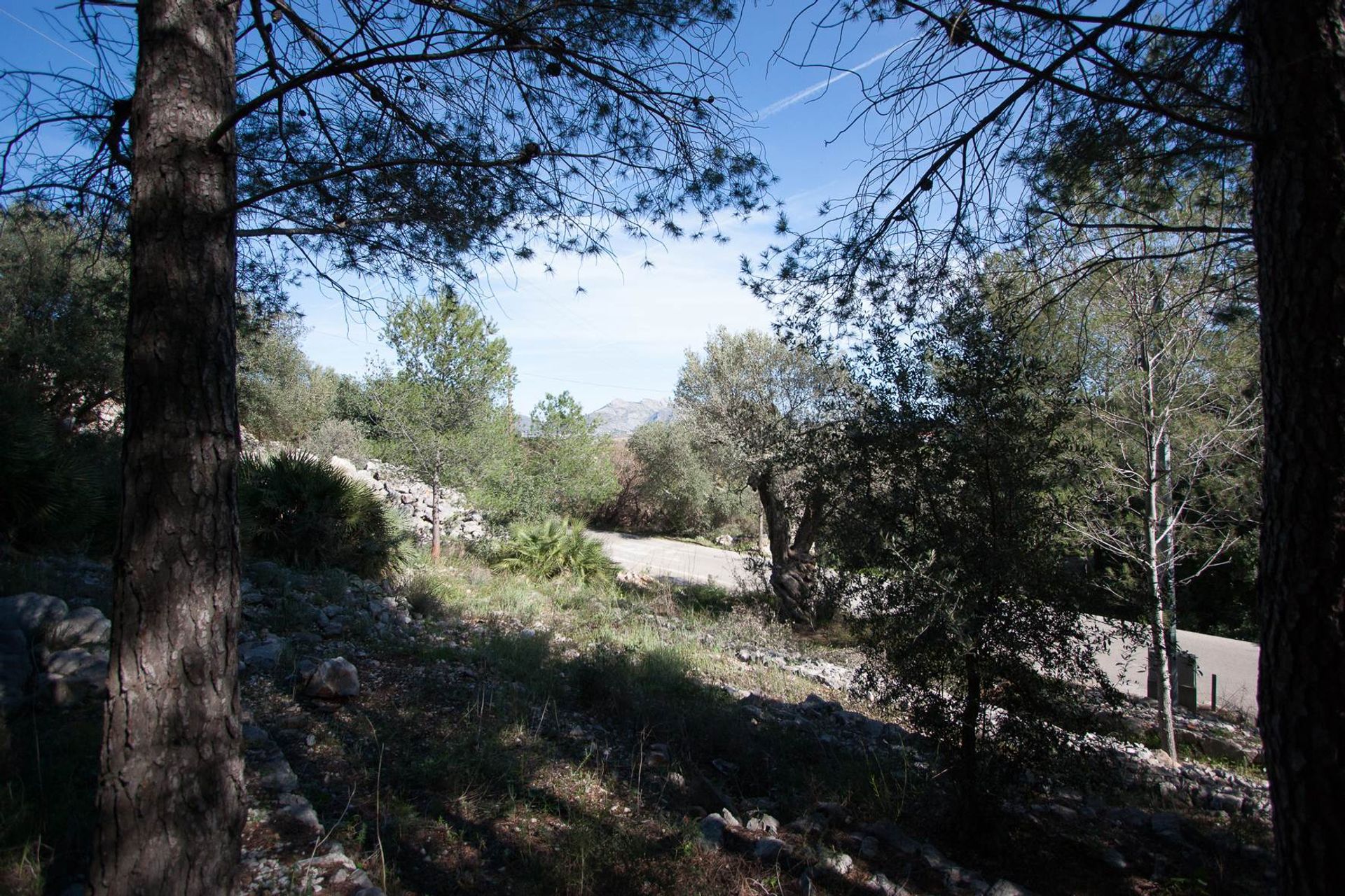 Land i Orba, Comunitat Valenciana 11343228