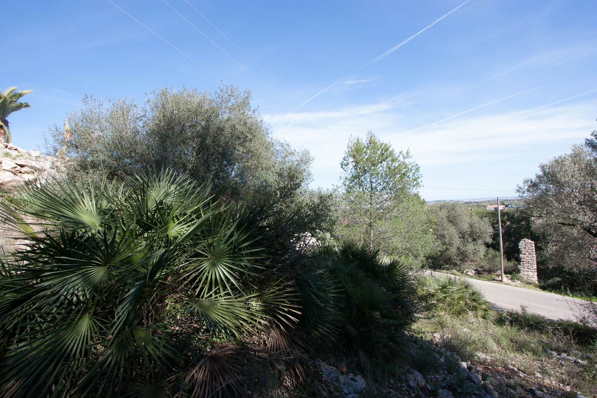 Land in Orba, Comunitat Valenciana 11343228