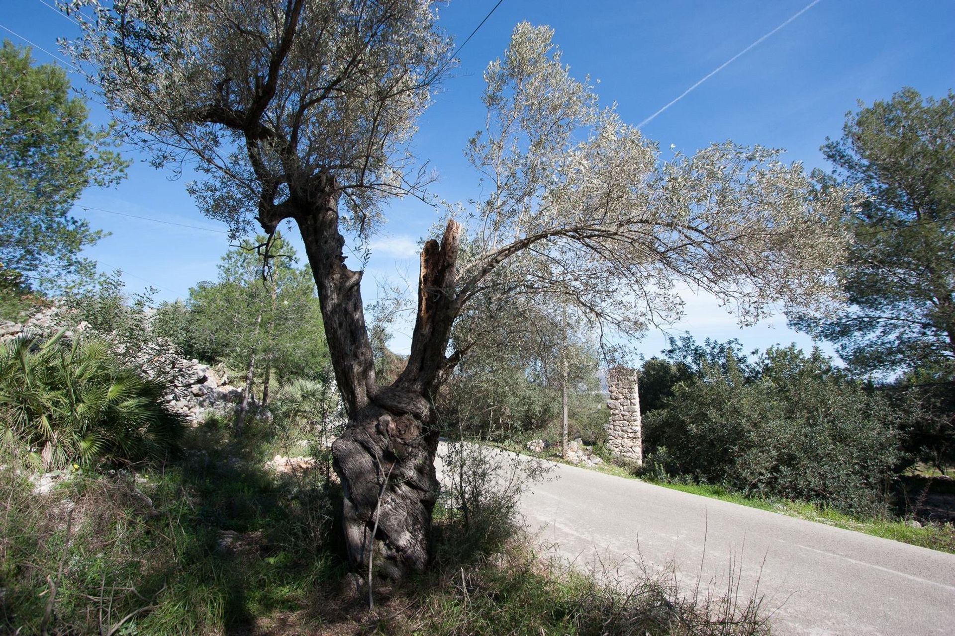 Tierra en Orba, Comunitat Valenciana 11343228