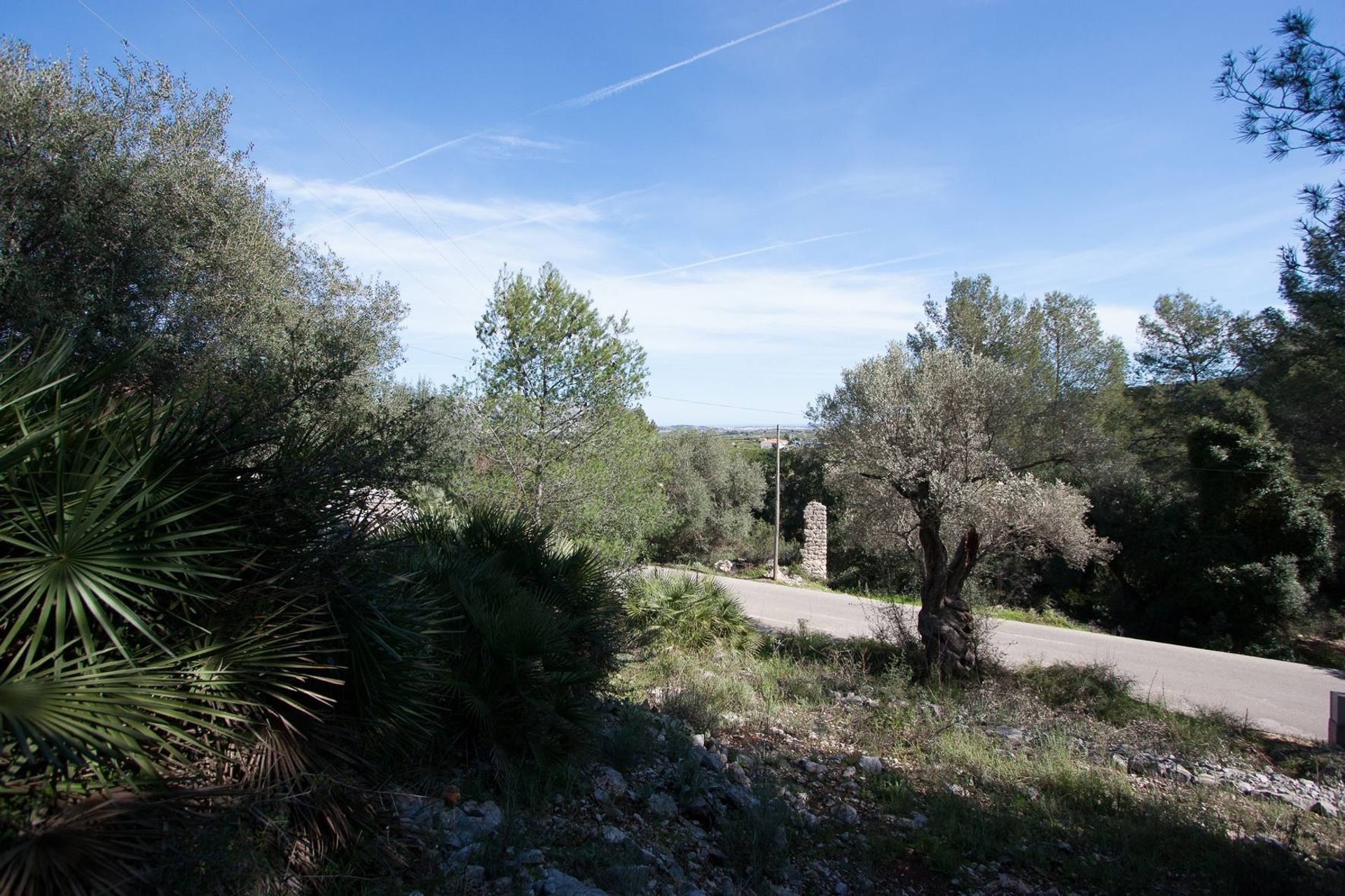 Land in Orba, Comunitat Valenciana 11343228