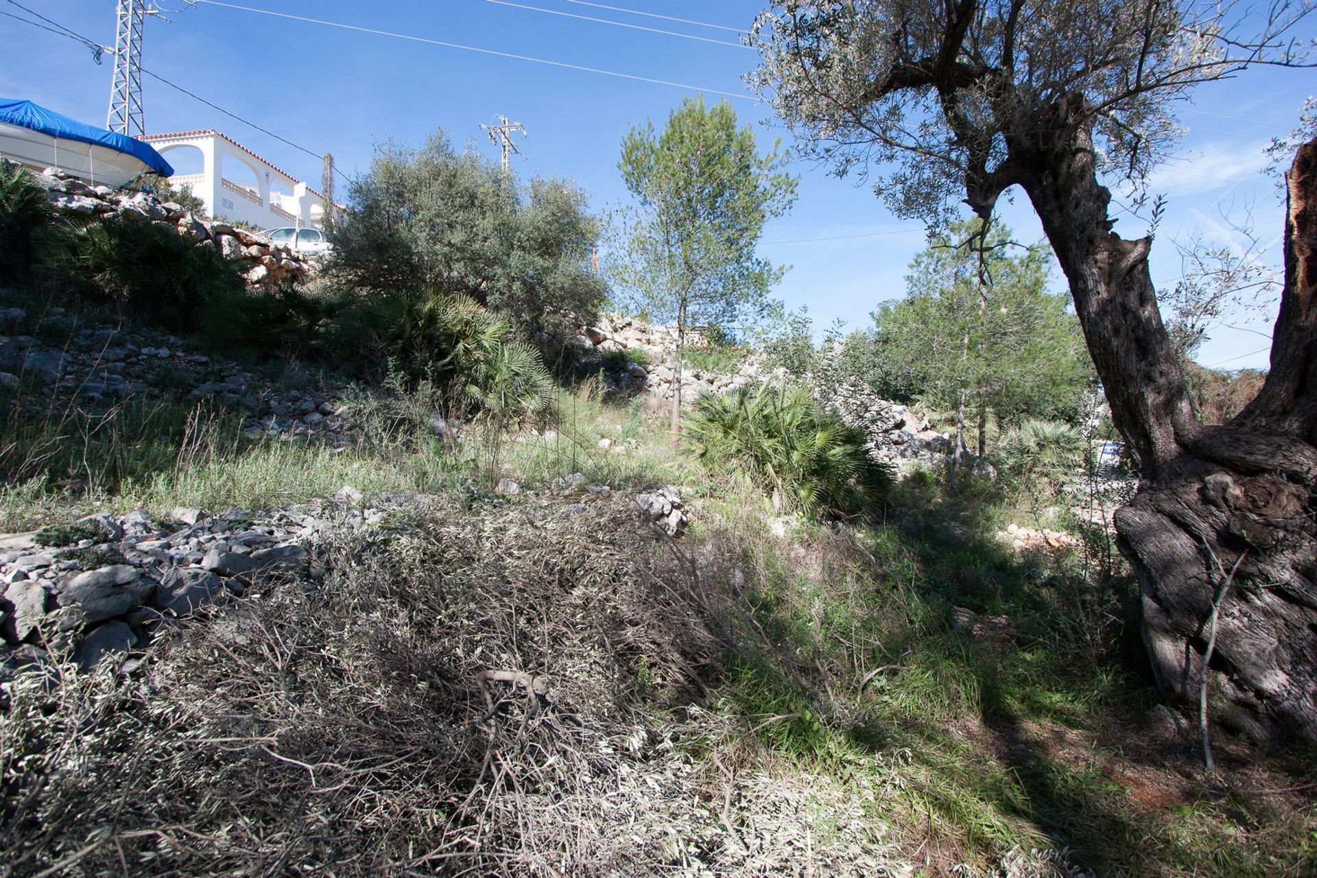 Land in Orba, Comunitat Valenciana 11343228