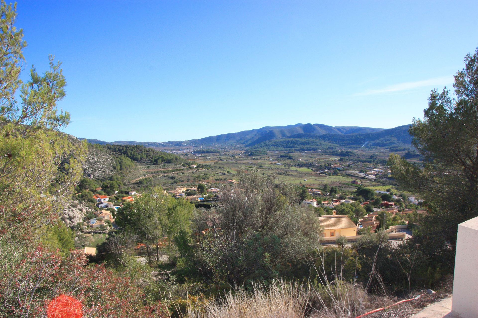 Dom w Alcalalí, Valencian Community 11343236