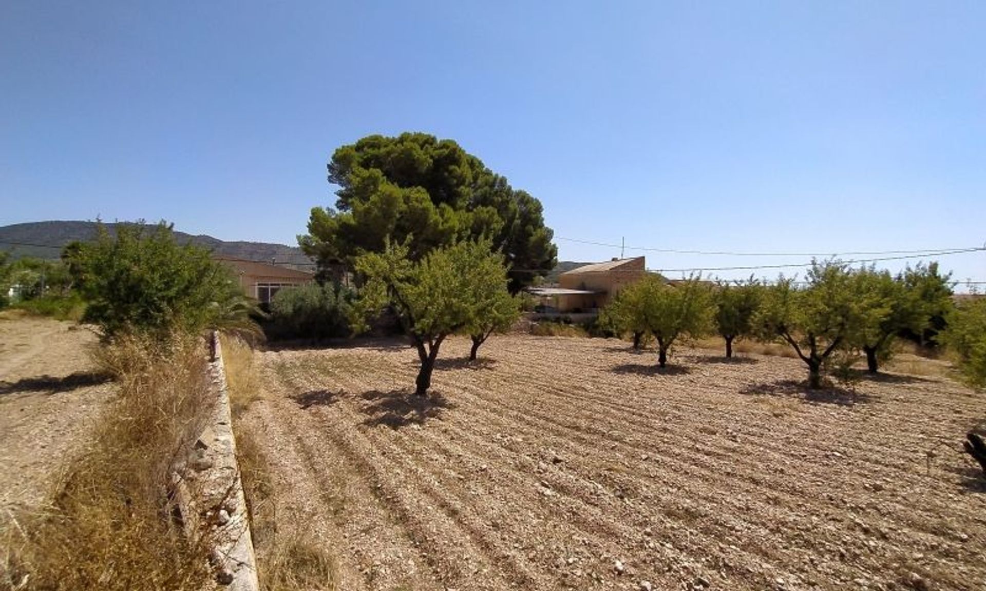 casa en La Romana, Valencian Community 11343265