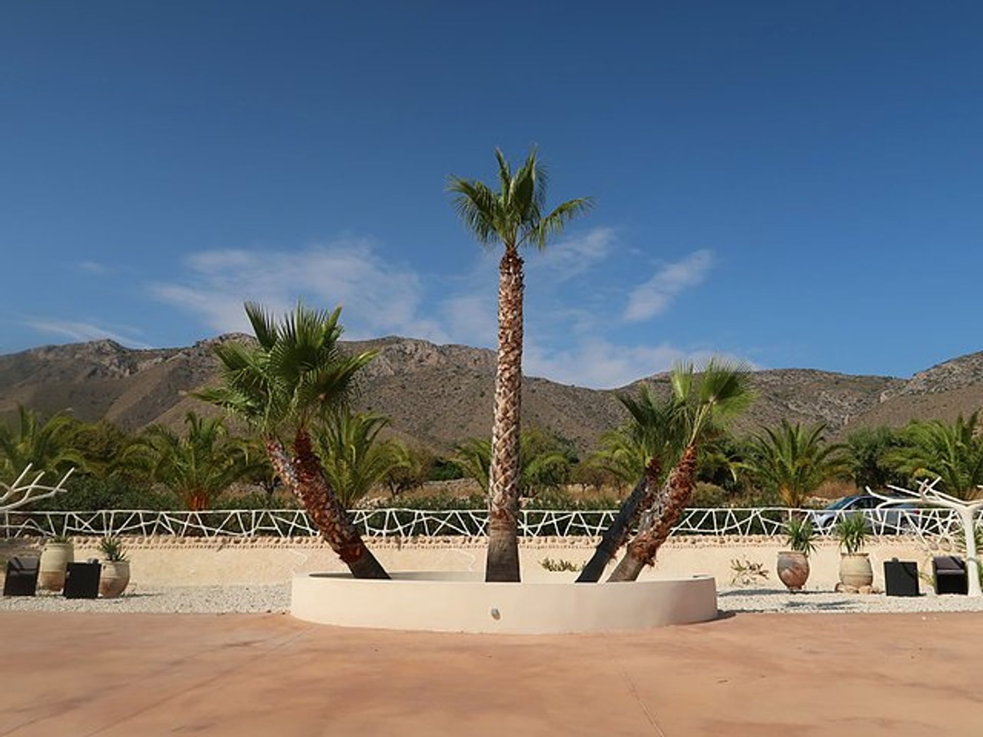 Huis in El Fondó de les Neus, Valencian Community 11343280