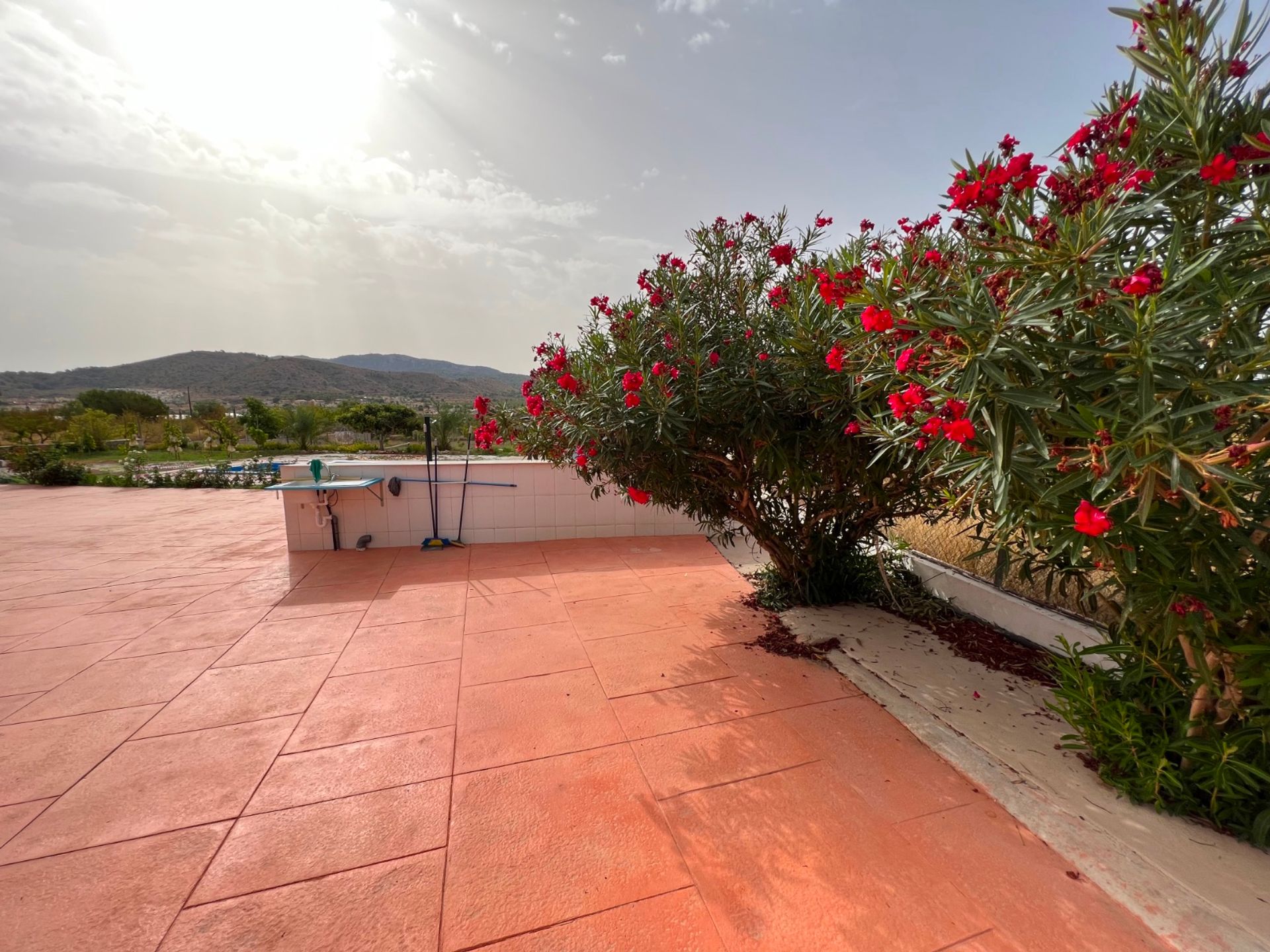 House in El Fondó de les Neus, Valencian Community 11343282