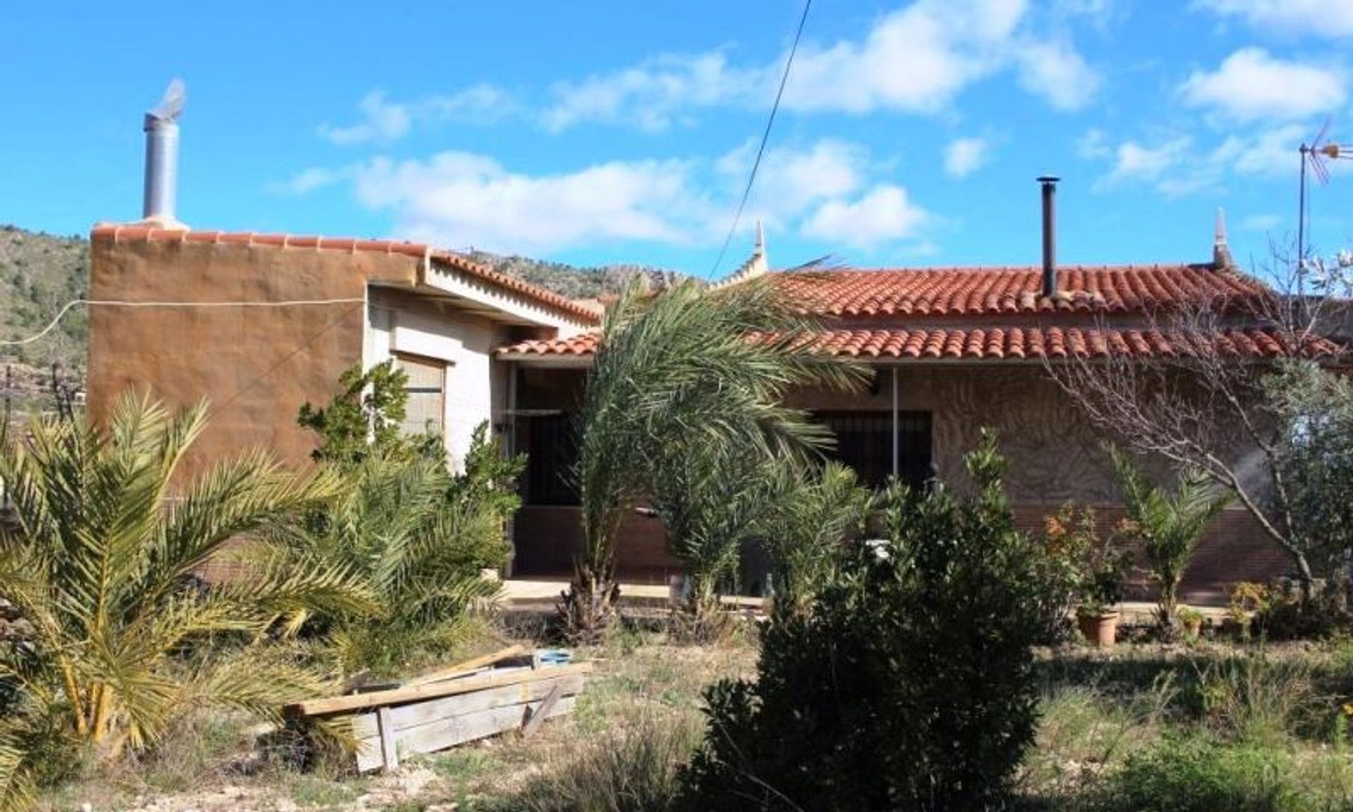 Hus i La Romana, Valencian Community 11343289