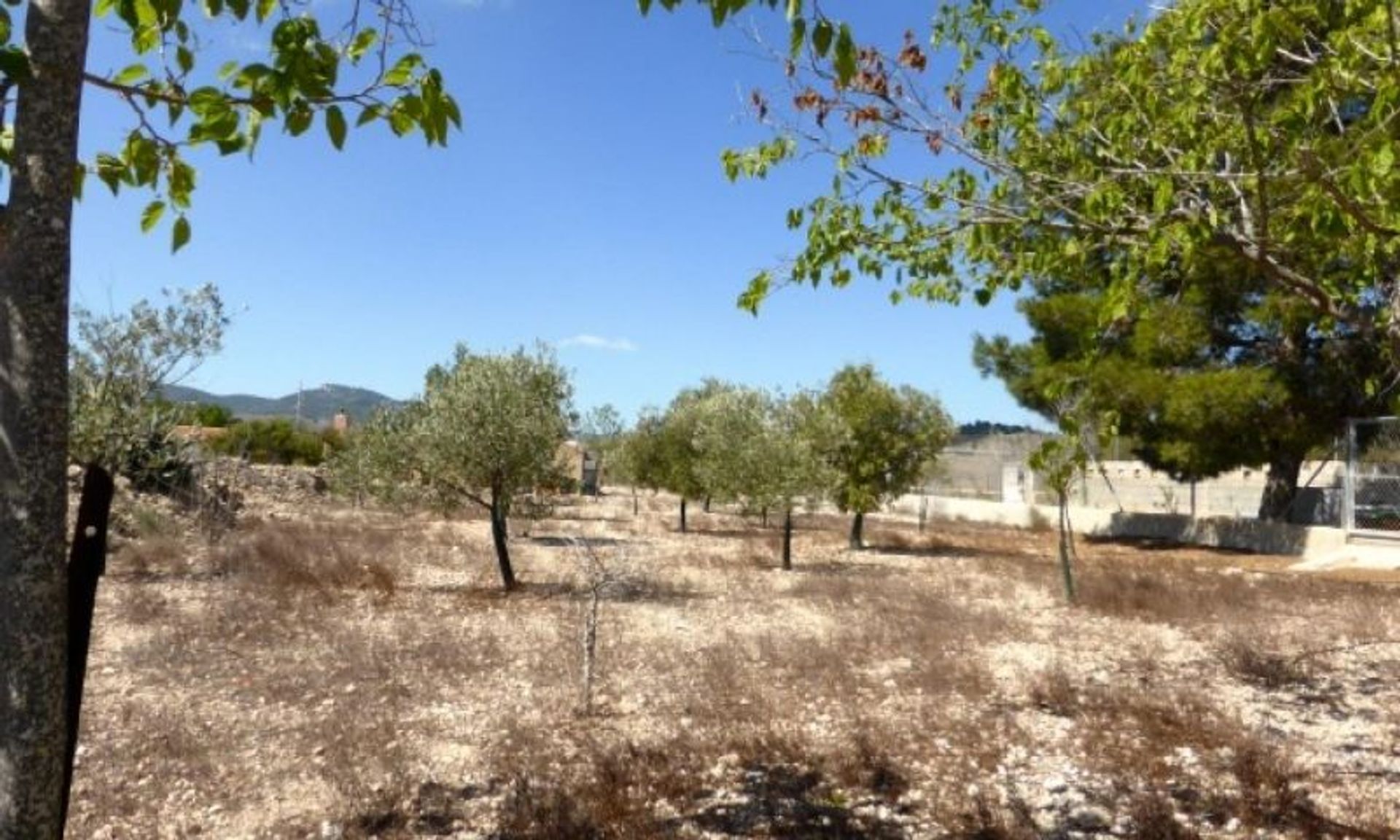 casa no Monòver, Valencian Community 11343291