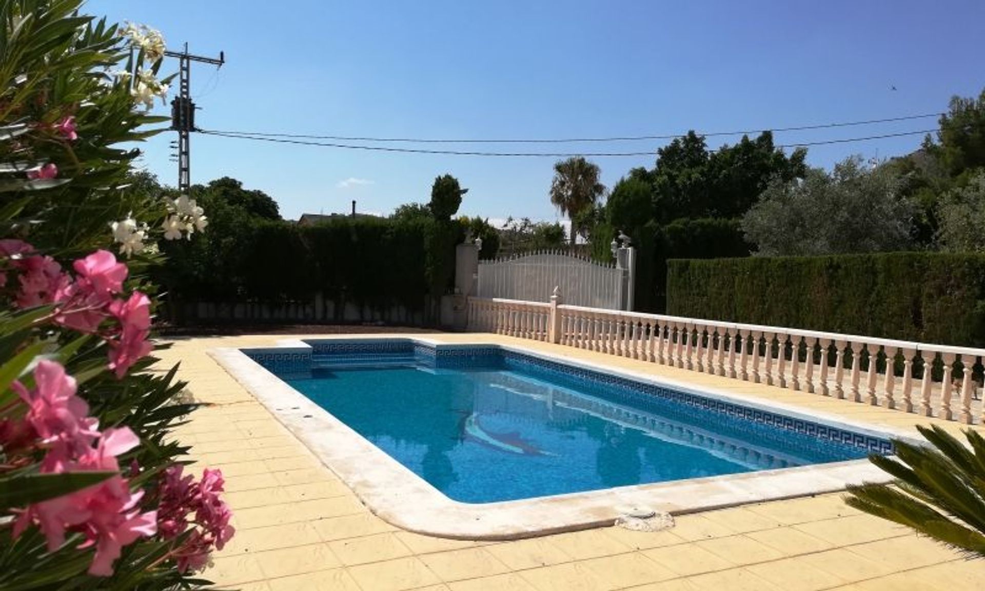 House in Aspe, Valencian Community 11343305