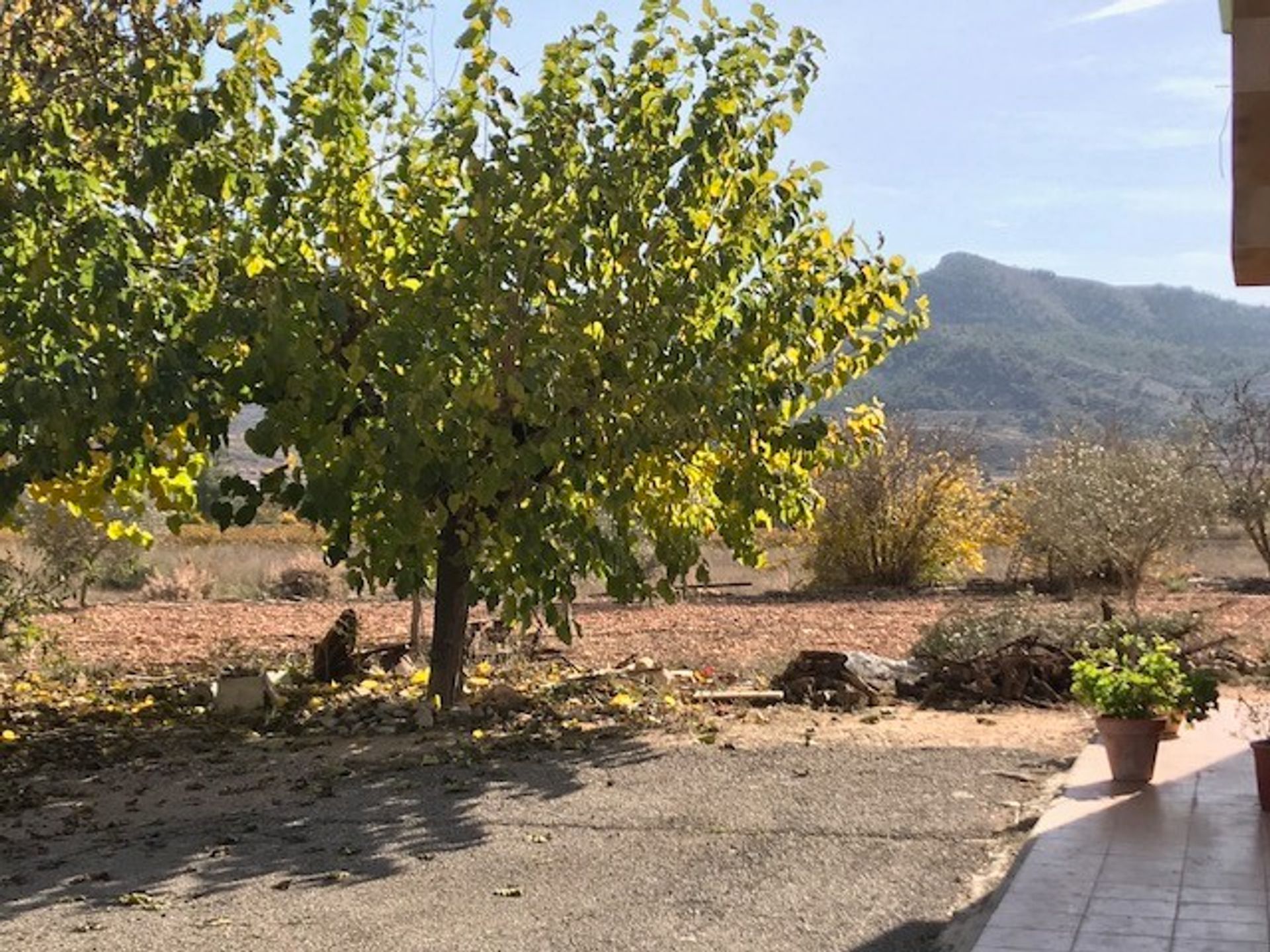 casa no El Fondó de les Neus, Valencian Community 11343322