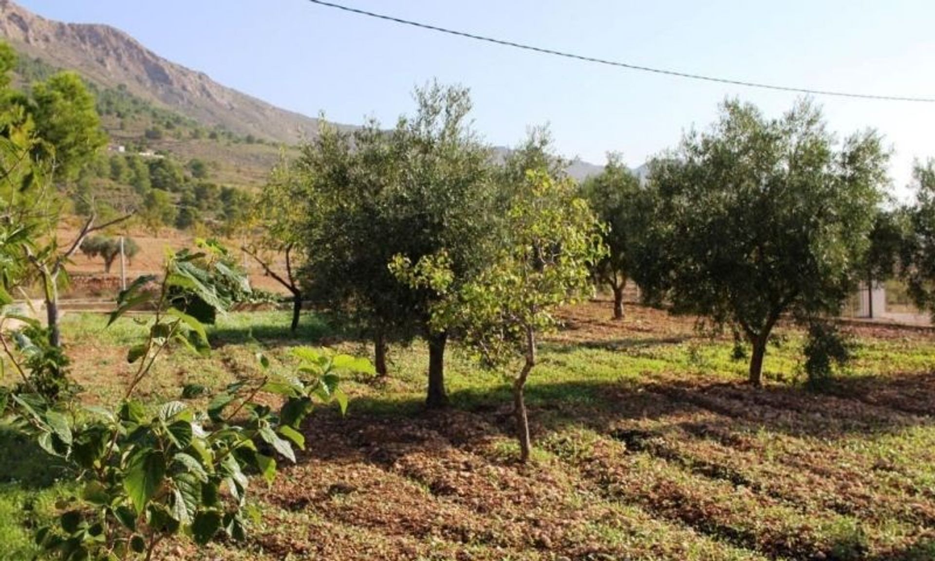 بيت في La Romana, Valencian Community 11343353