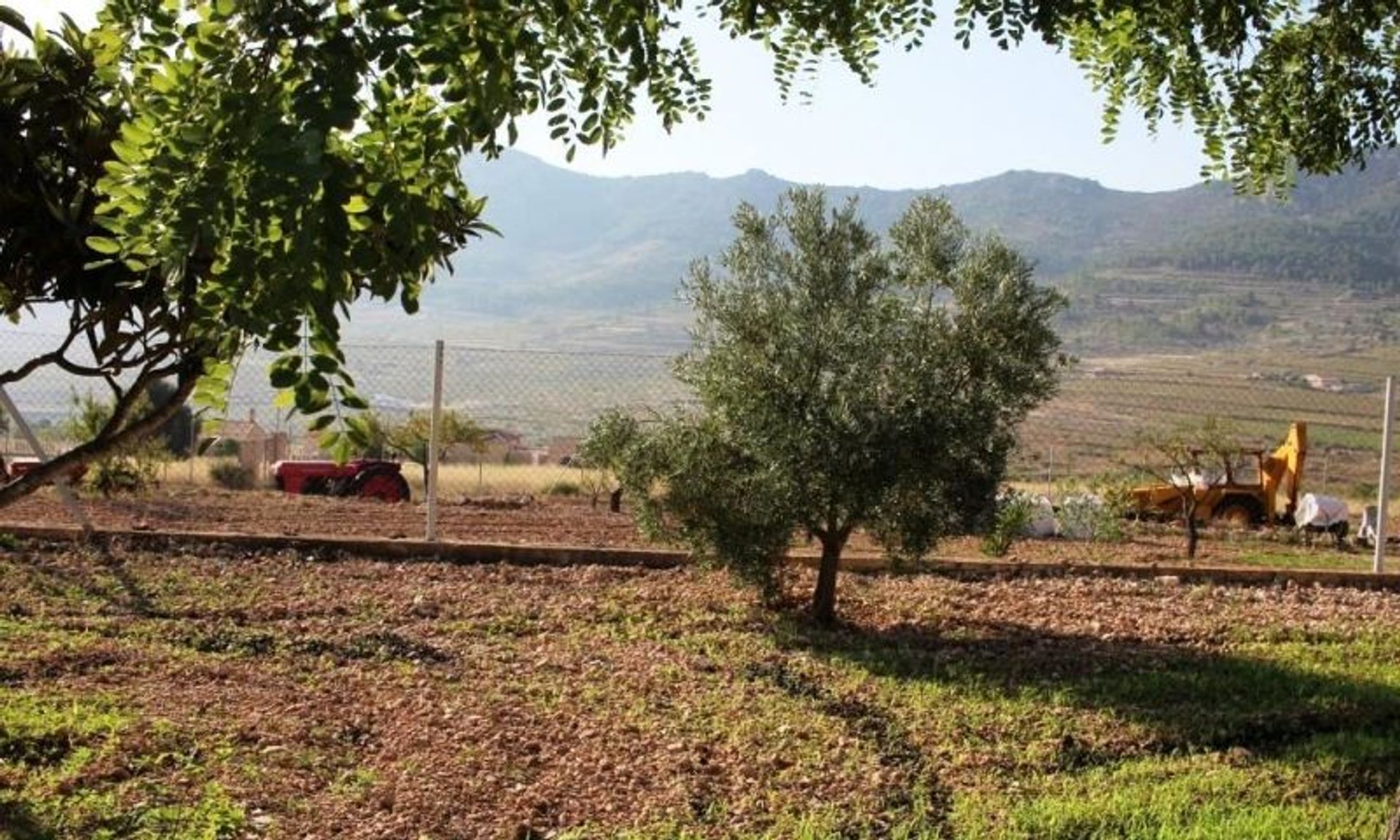 بيت في La Romana, Valencian Community 11343353