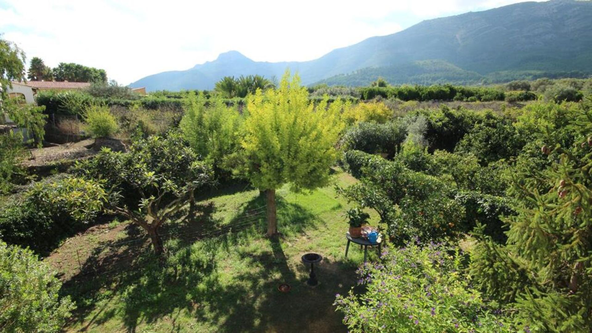 σπίτι σε Alicante, Valencian Community 11343384