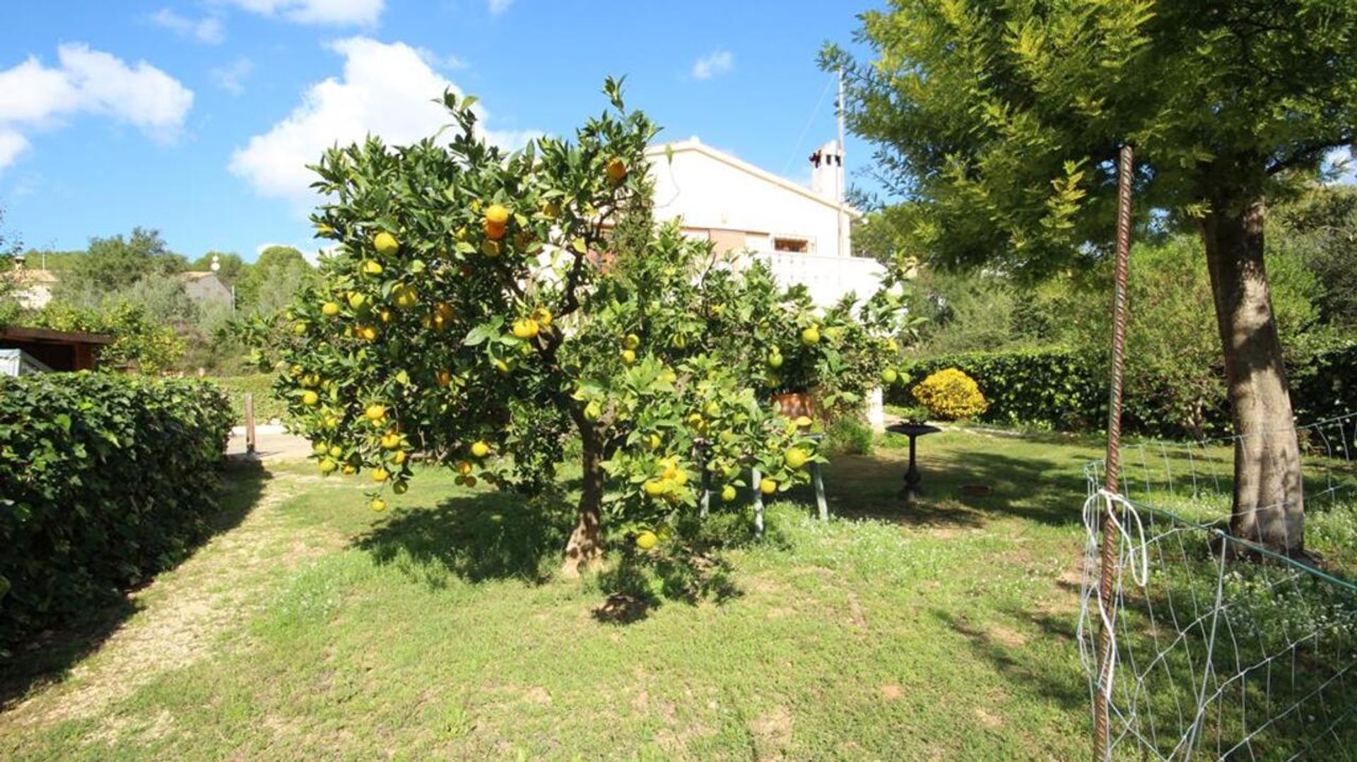 Casa nel Alicante, Valencian Community 11343406