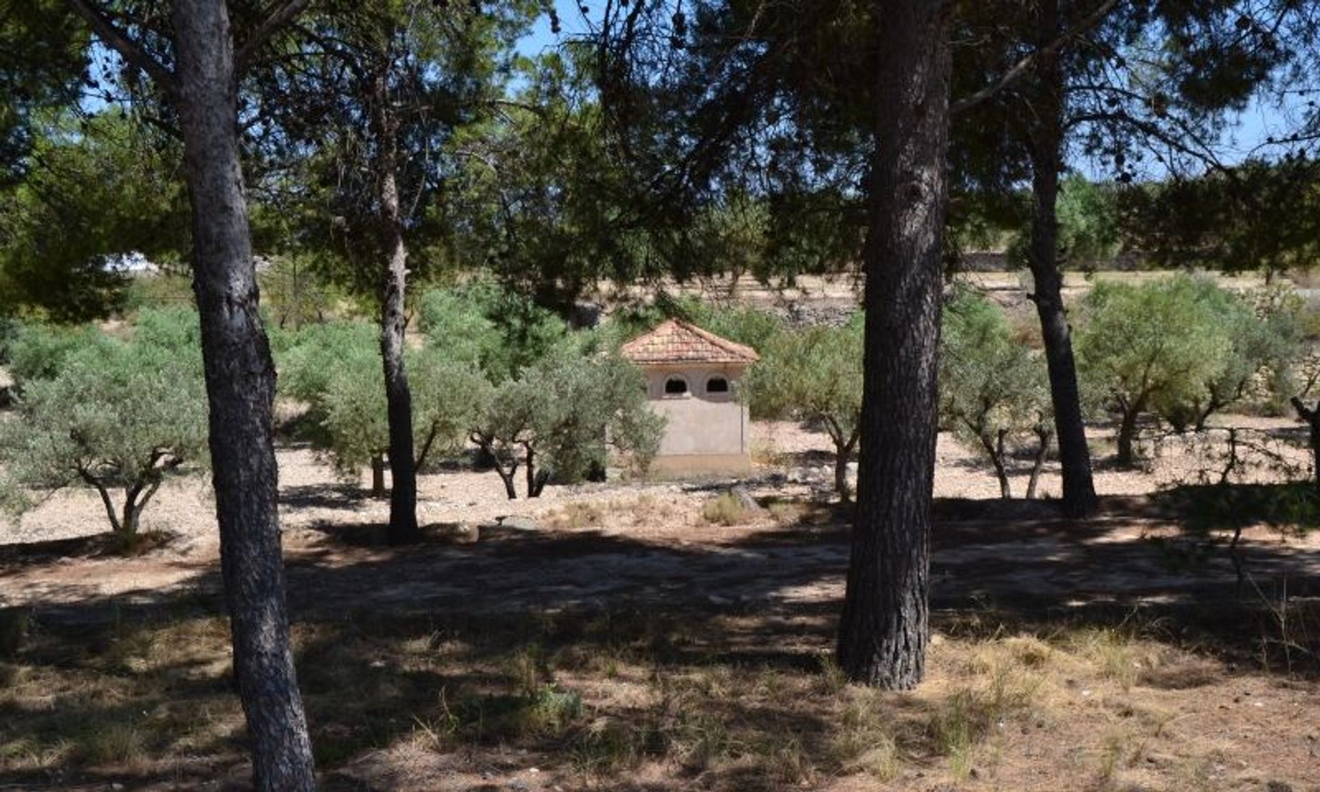 Huis in Monòver, Valencian Community 11343470