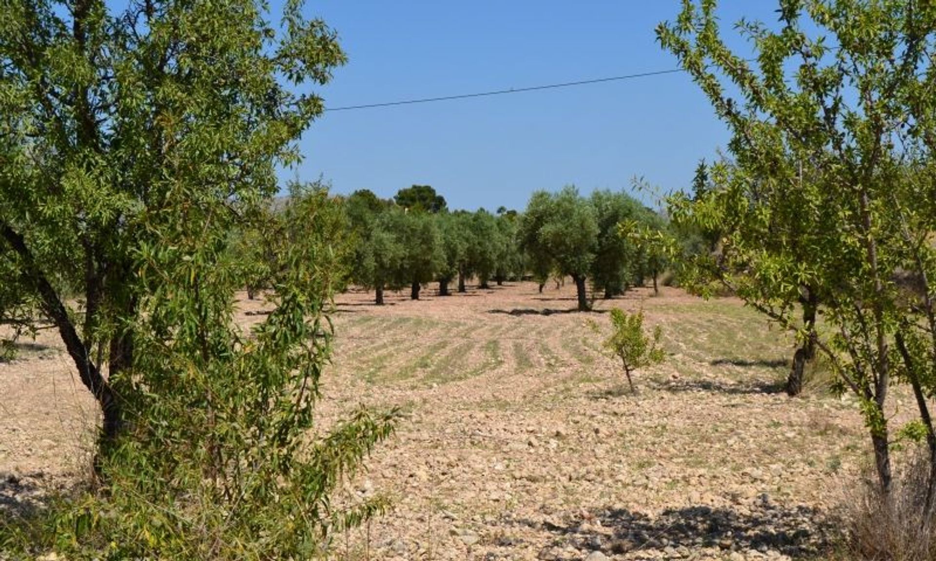 Huis in Monòver, Valencian Community 11343470