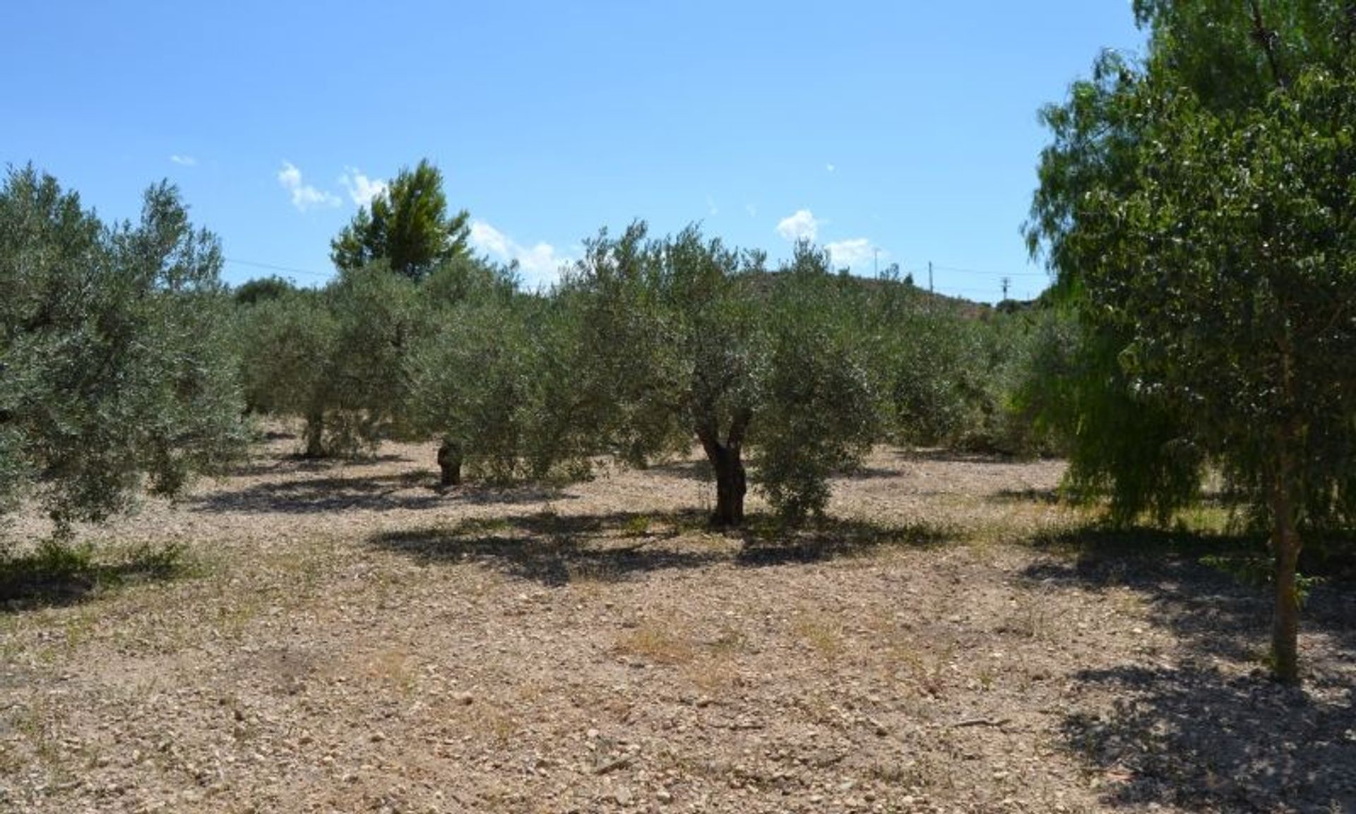 Huis in Monòver, Valencian Community 11343470