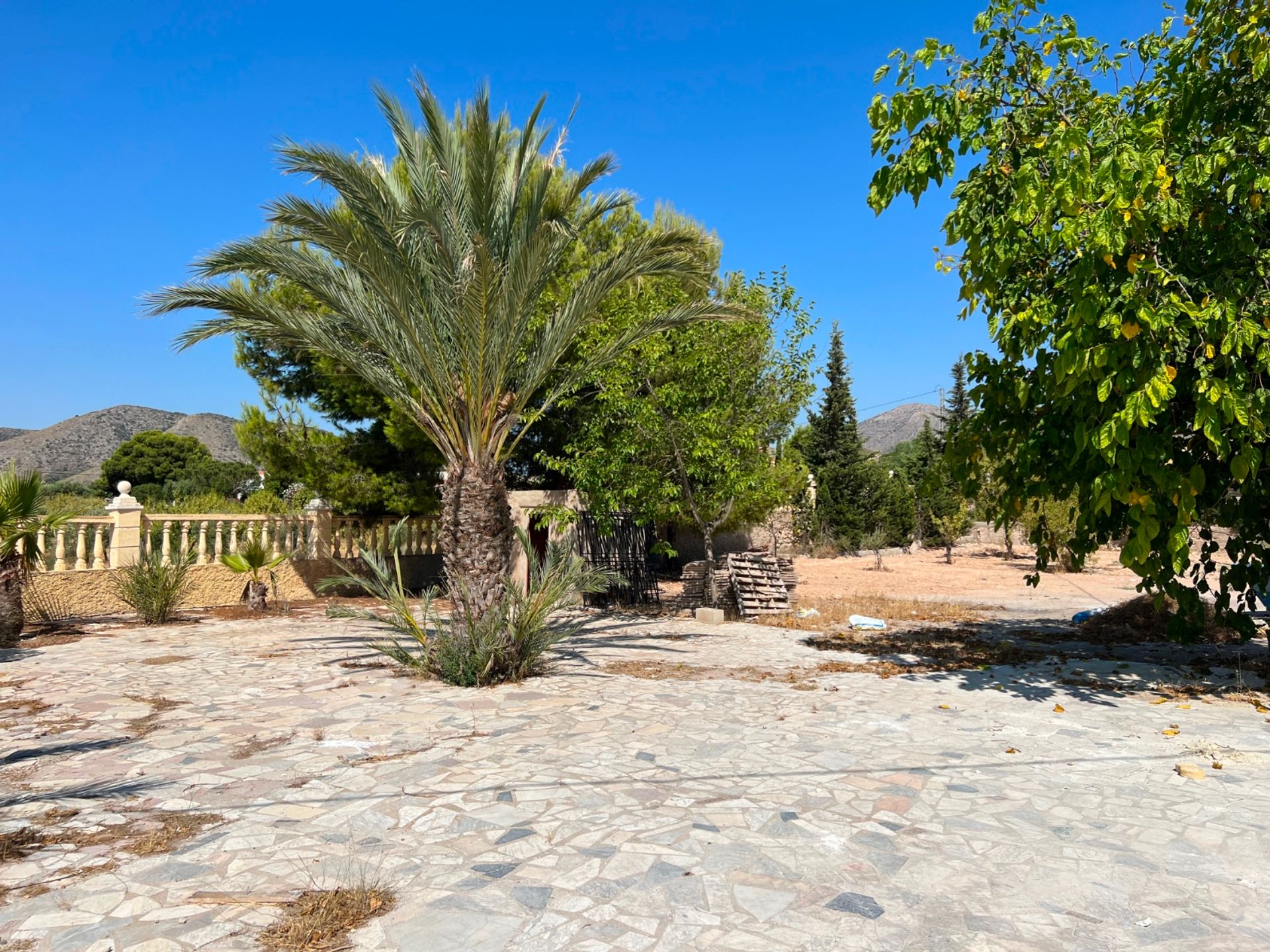 casa no El Fondó de les Neus, Valencian Community 11343483