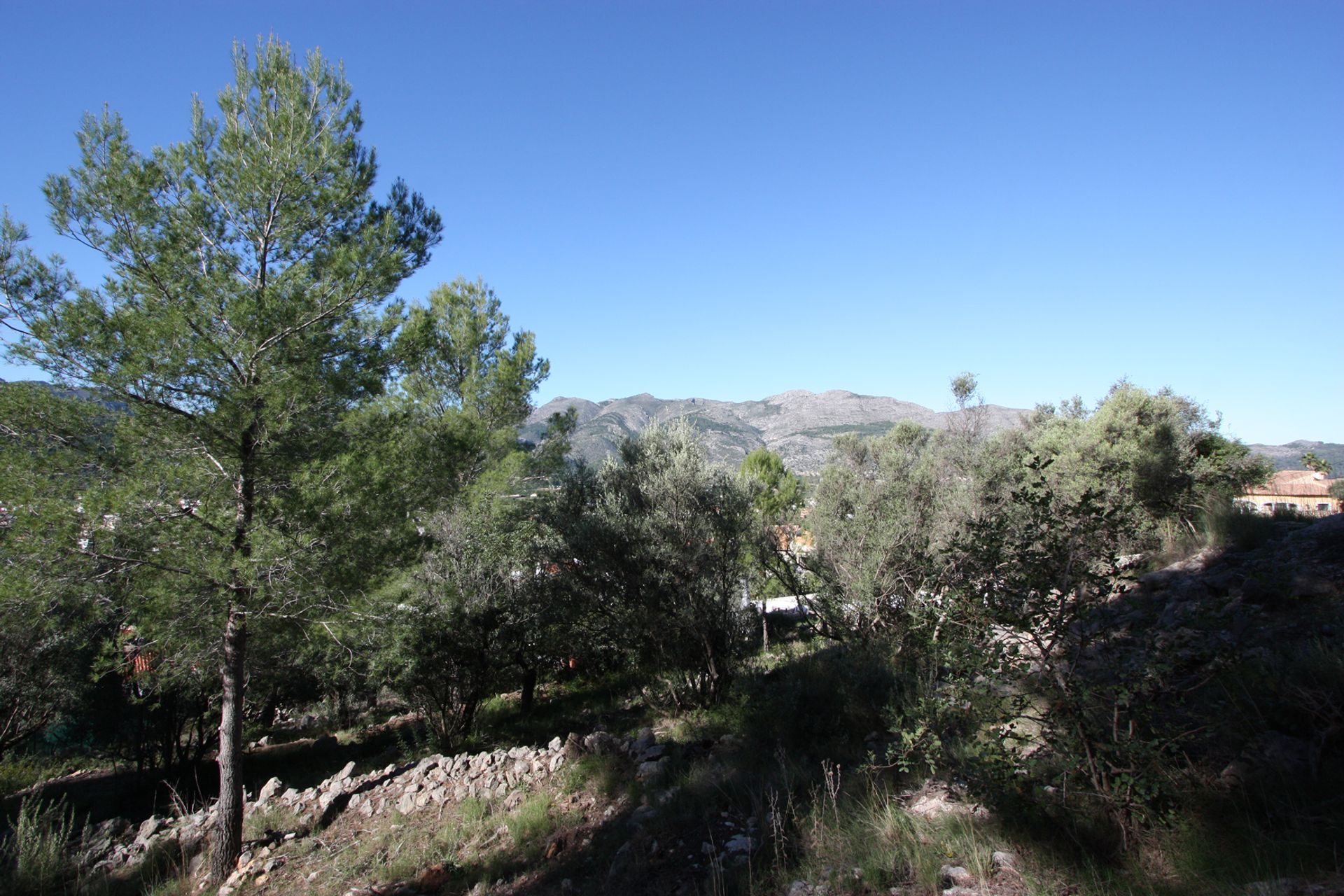 Land in Orba, Comunitat Valenciana 11343639