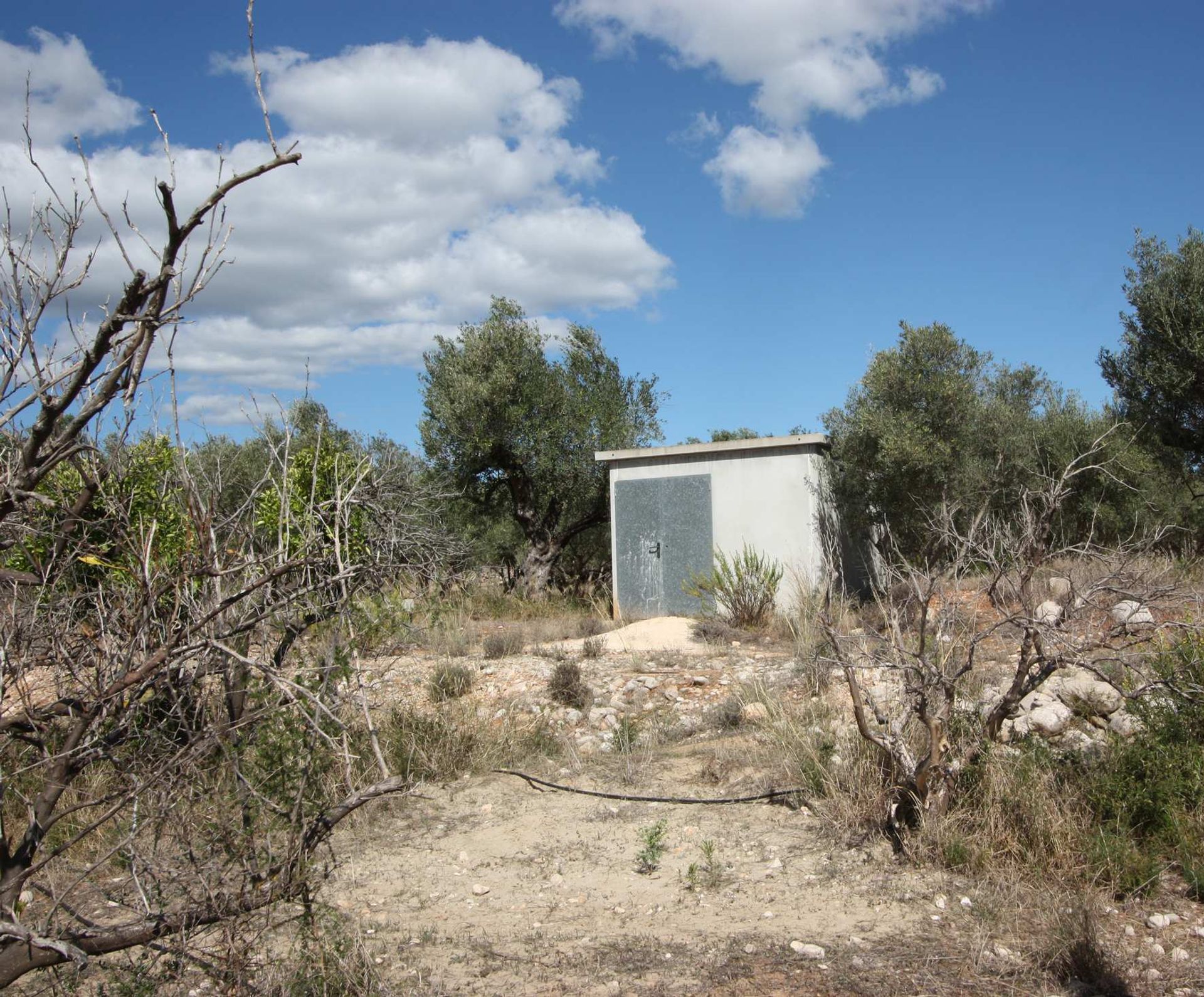 Γη σε Alicante, Valencian Community 11343713