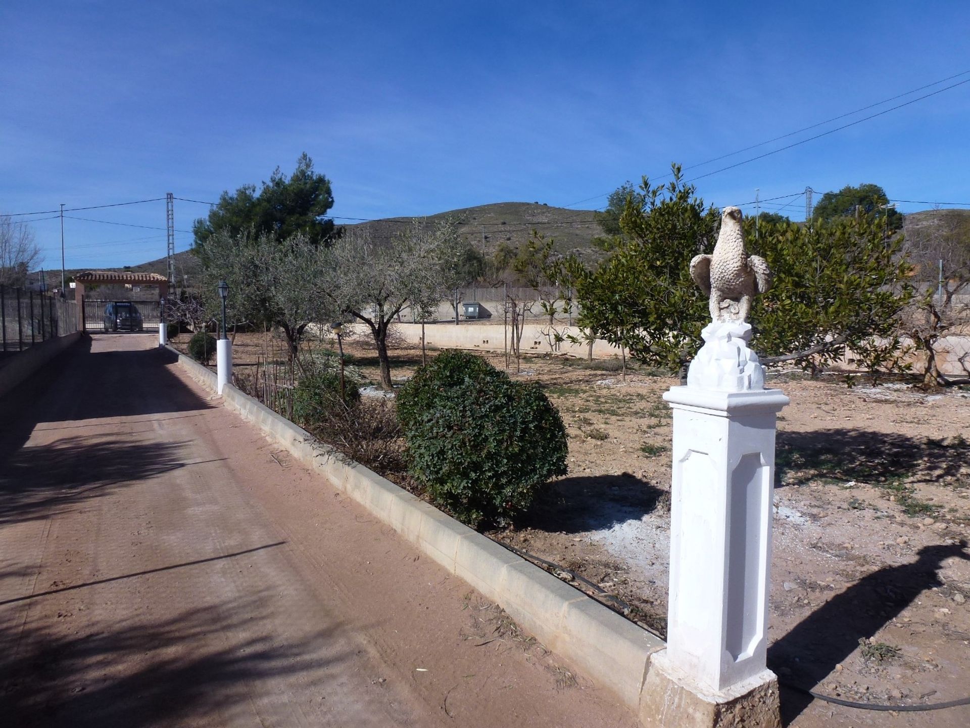 loger dans Hondón de los Frailes, Valencian Community 11343892