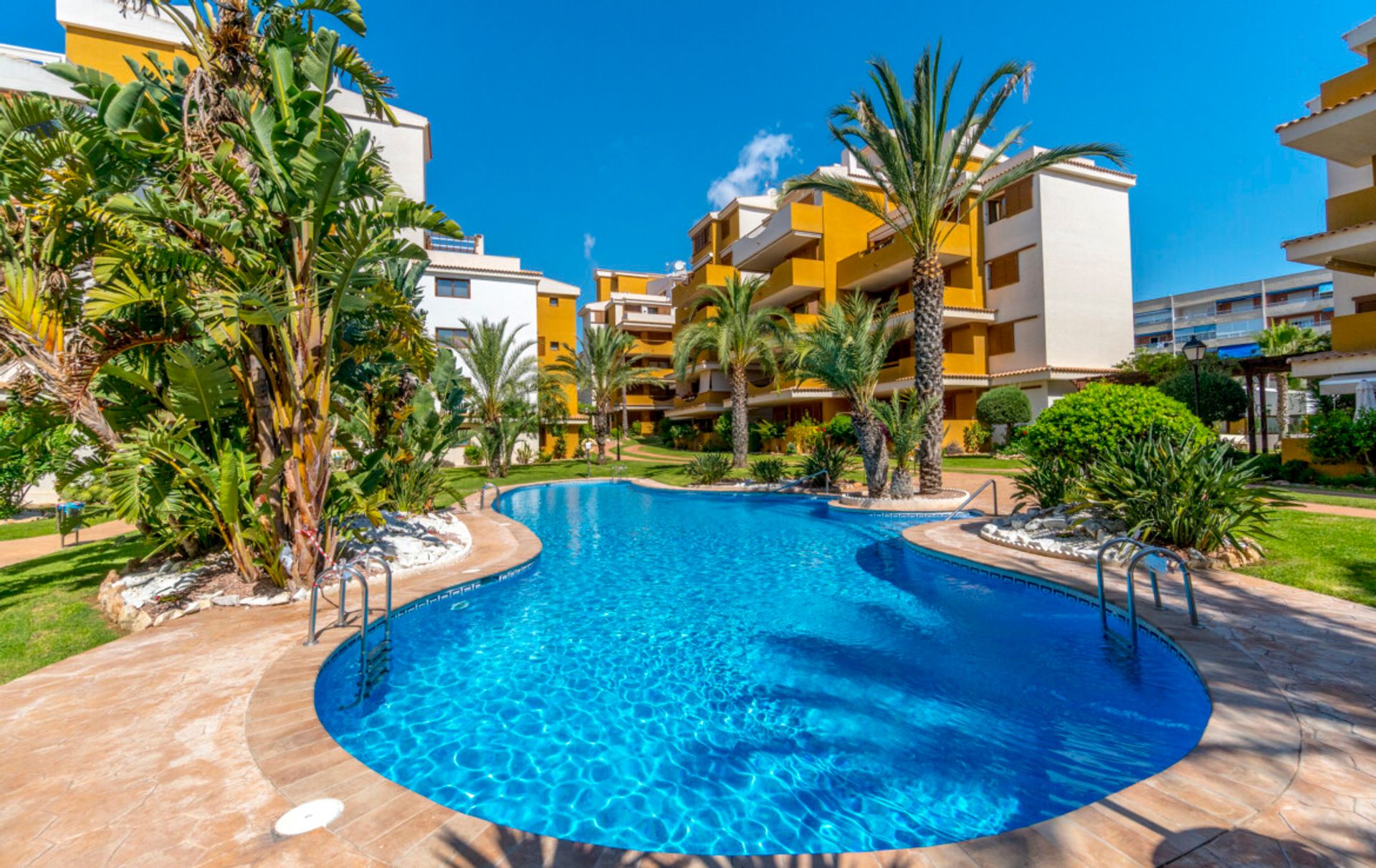 Condominium dans Torrevieja, Valence 11344280