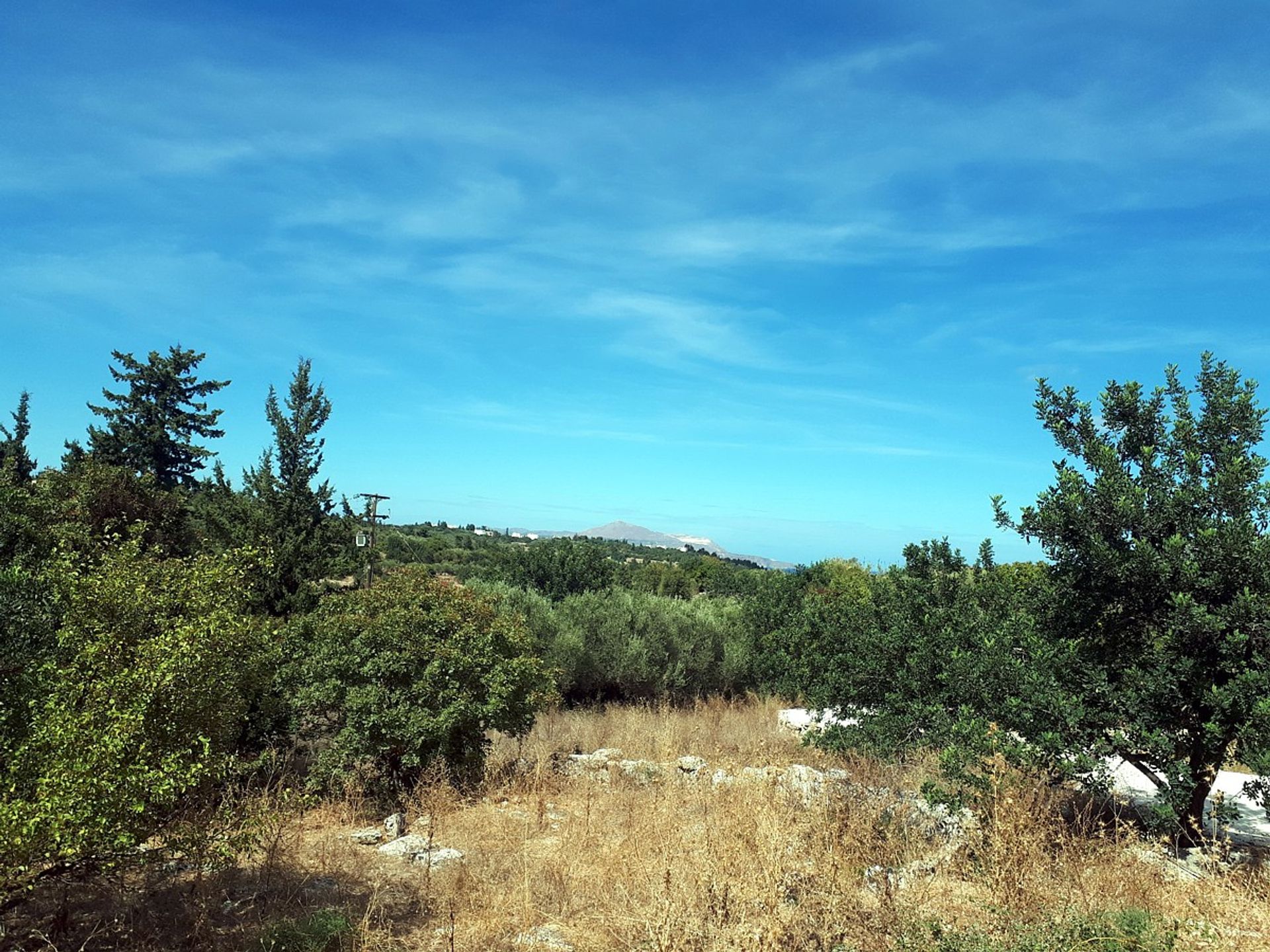 Land im Nipos, Kriti 11344451