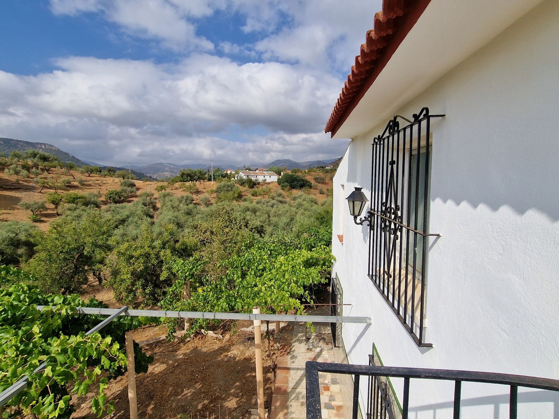 Будинок в Comares, Andalucía 11344785