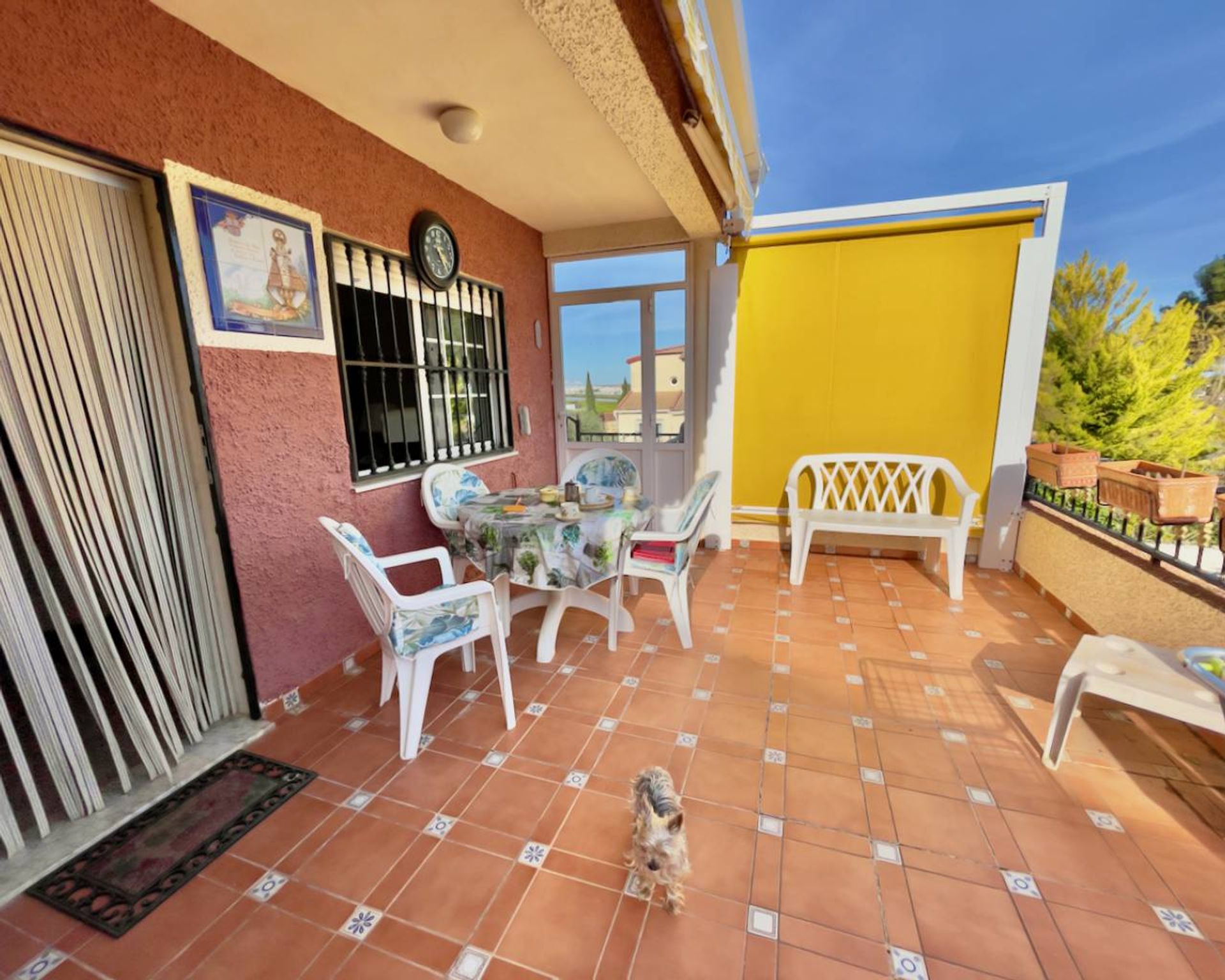 House in Jacarilla, Comunidad Valenciana 11345220