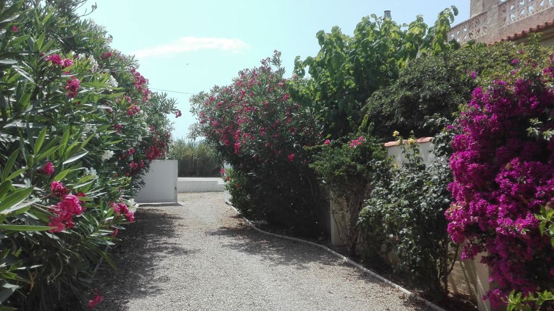 House in Daimús, Comunidad Valenciana 11345393