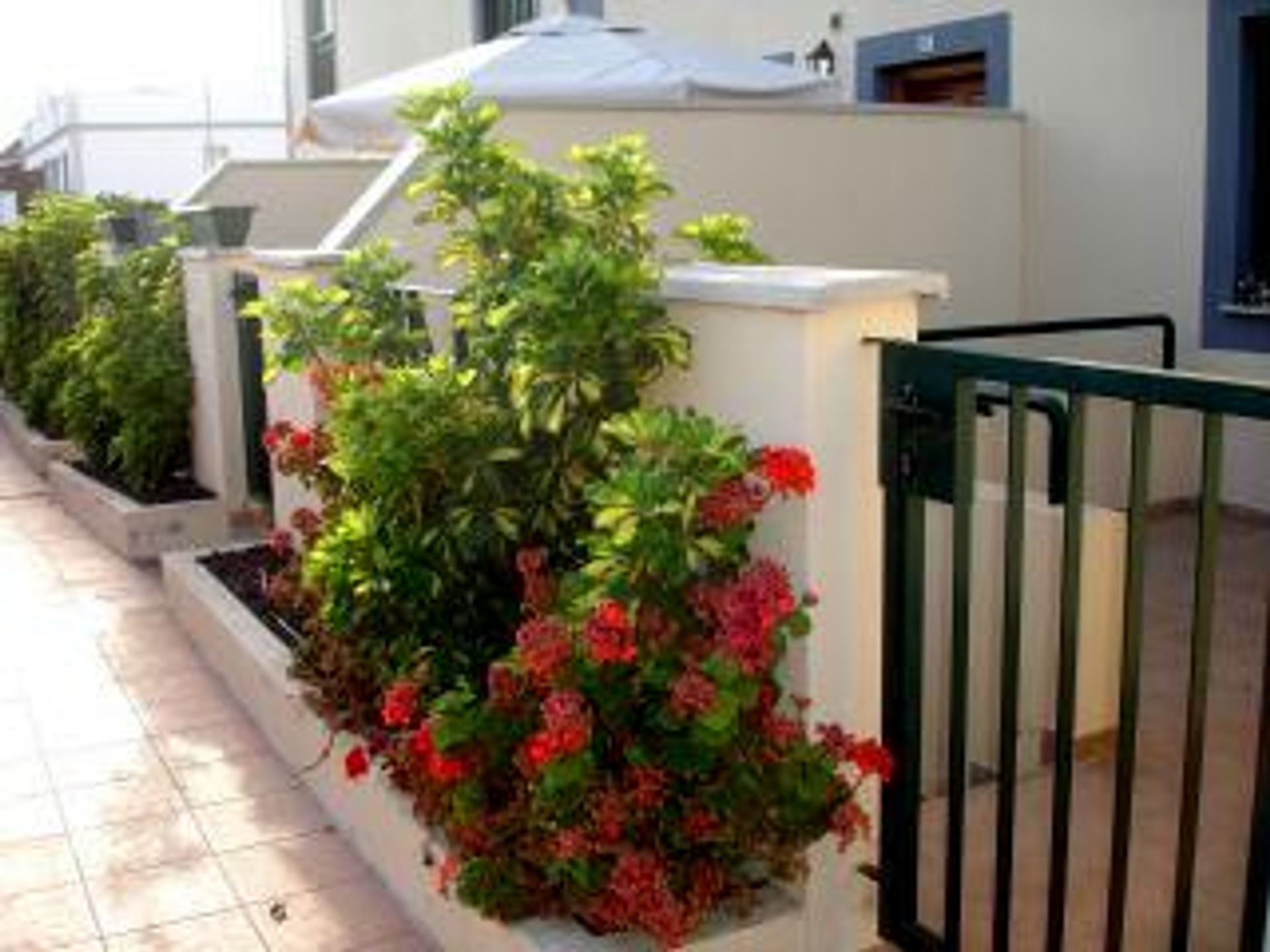 House in Buzanada, Canarias 11346476